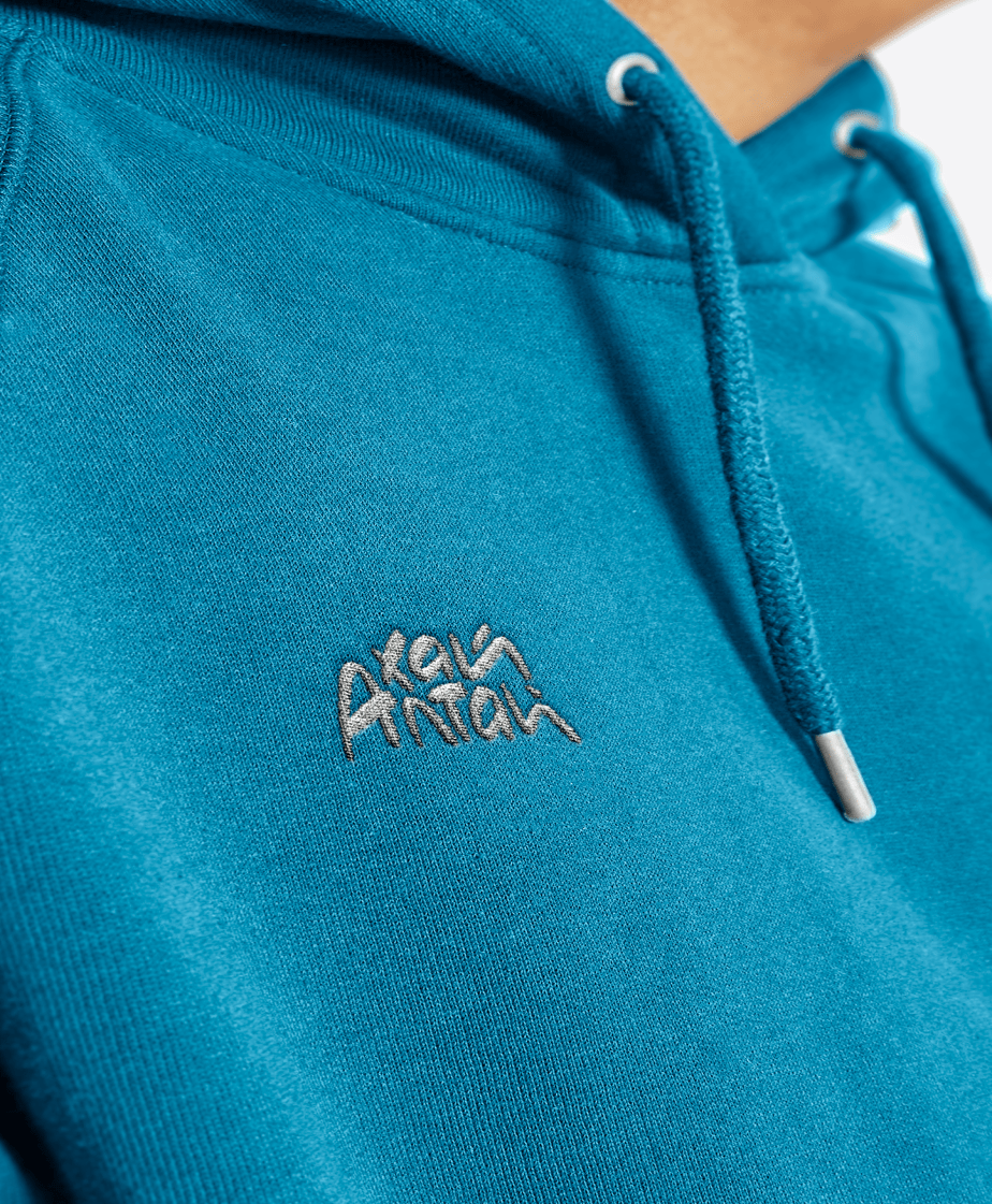 Хай Алтай lettering logo for travel agency Hi, Altai — Изображение №3 — Брендинг, Иллюстрация на Dprofile