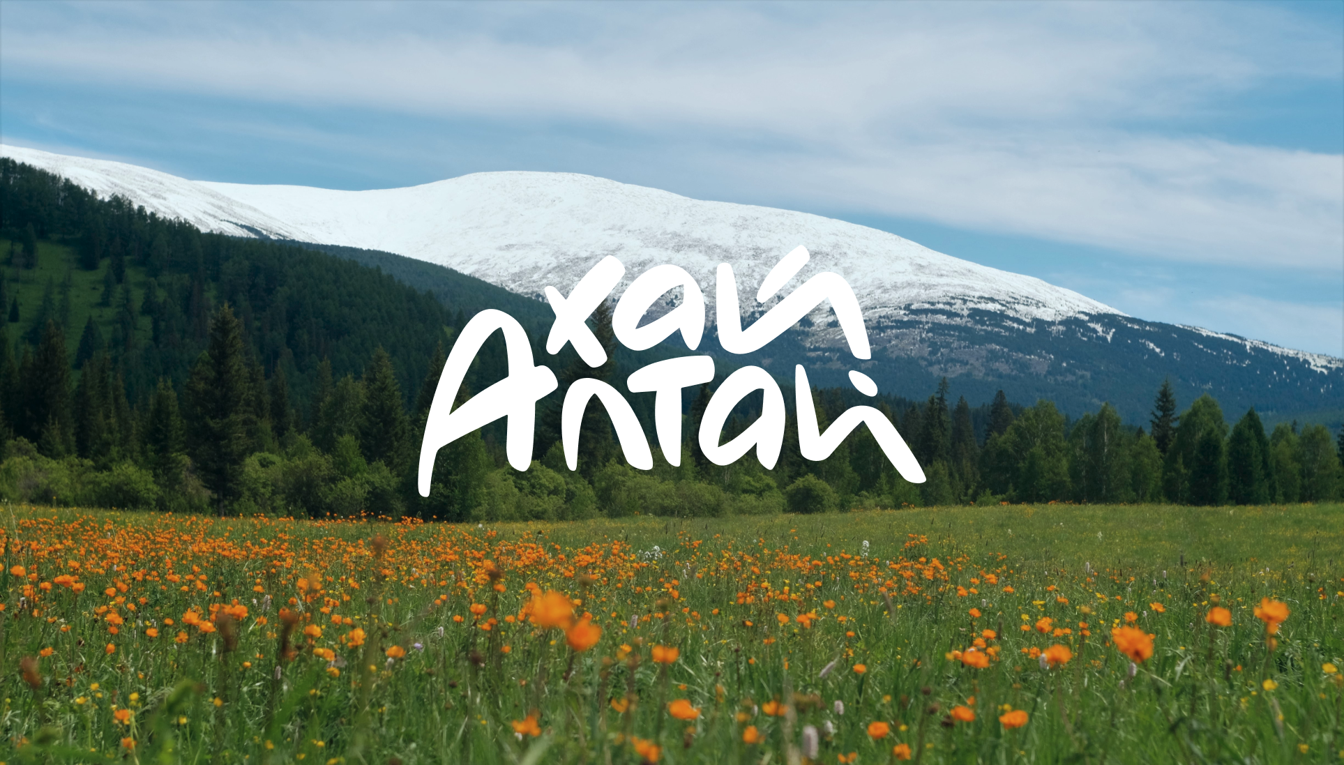 Хай Алтай lettering logo for travel agency Hi, Altai — Изображение №1 — Брендинг, Иллюстрация на Dprofile