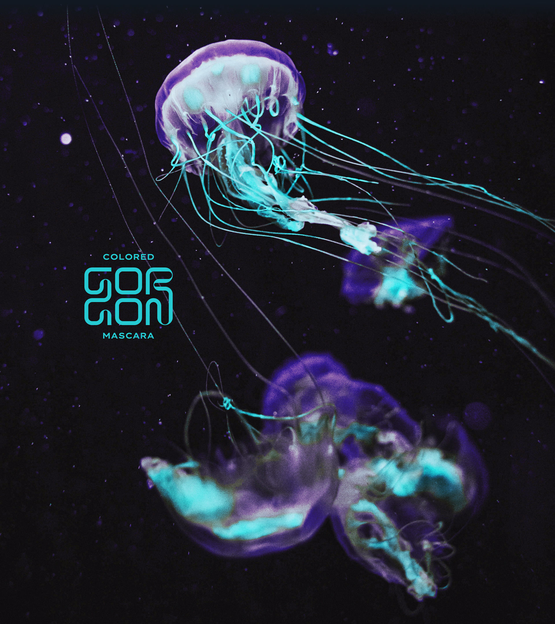 GORGON | Mascara Brand Identity Concept — Изображение №5 — Брендинг, Графика на Dprofile
