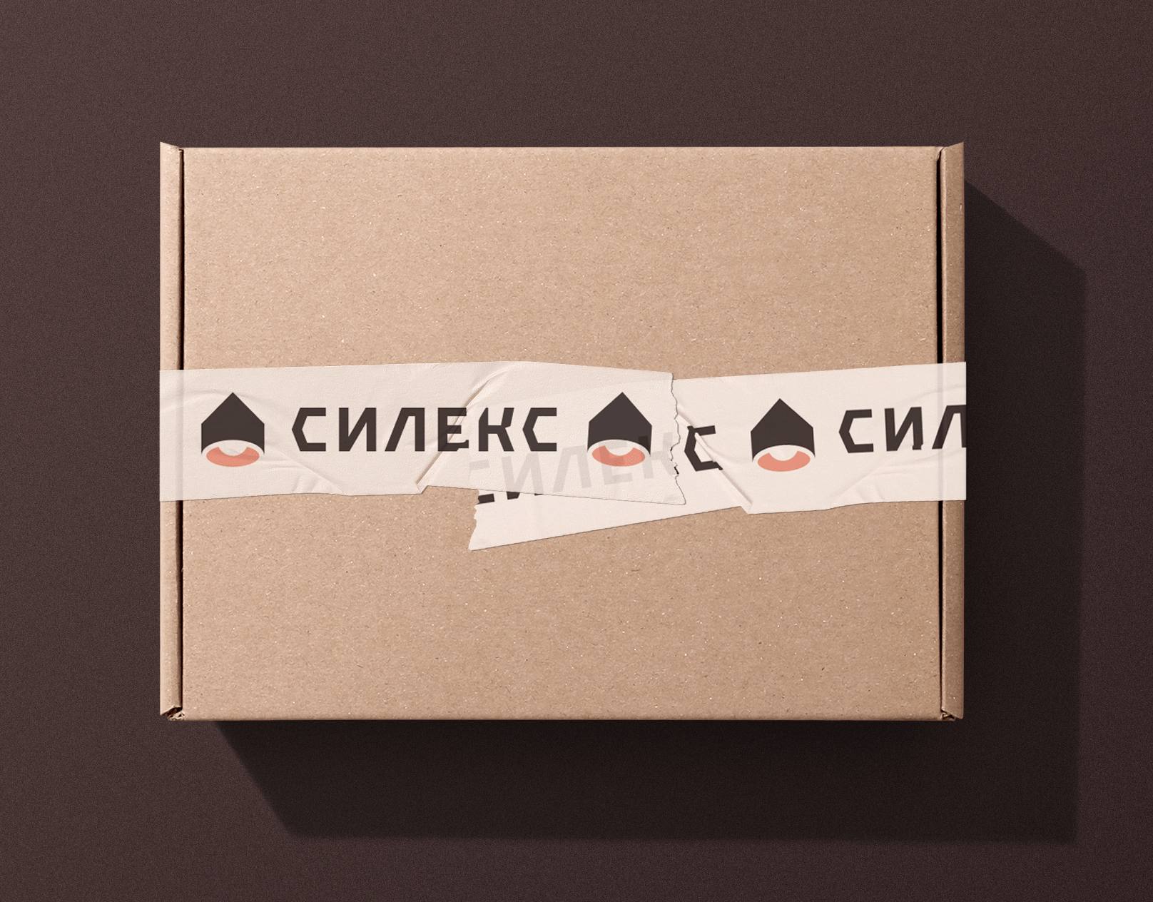 СИЛЕКС | Концепция №1 — Изображение №11 — Брендинг, Графика на Dprofile