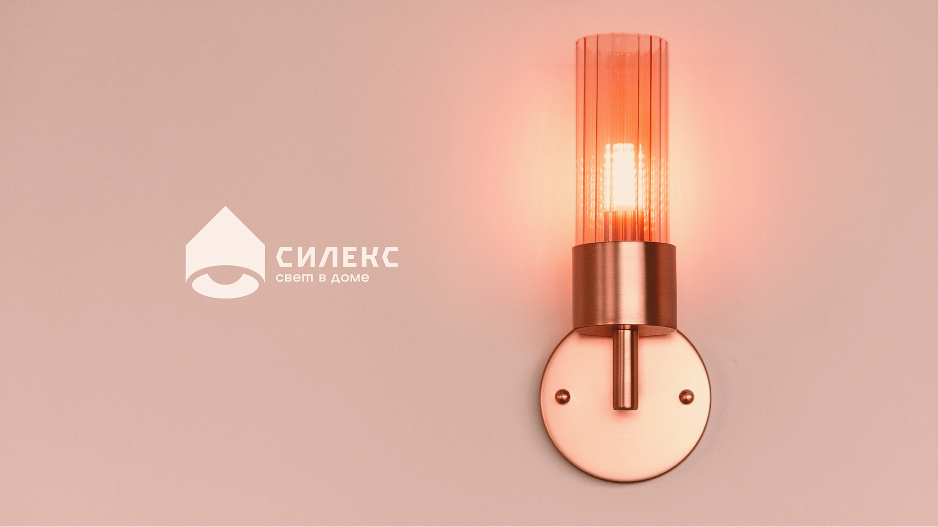 СИЛЕКС | Концепция №1 — Изображение №12 — Брендинг, Графика на Dprofile