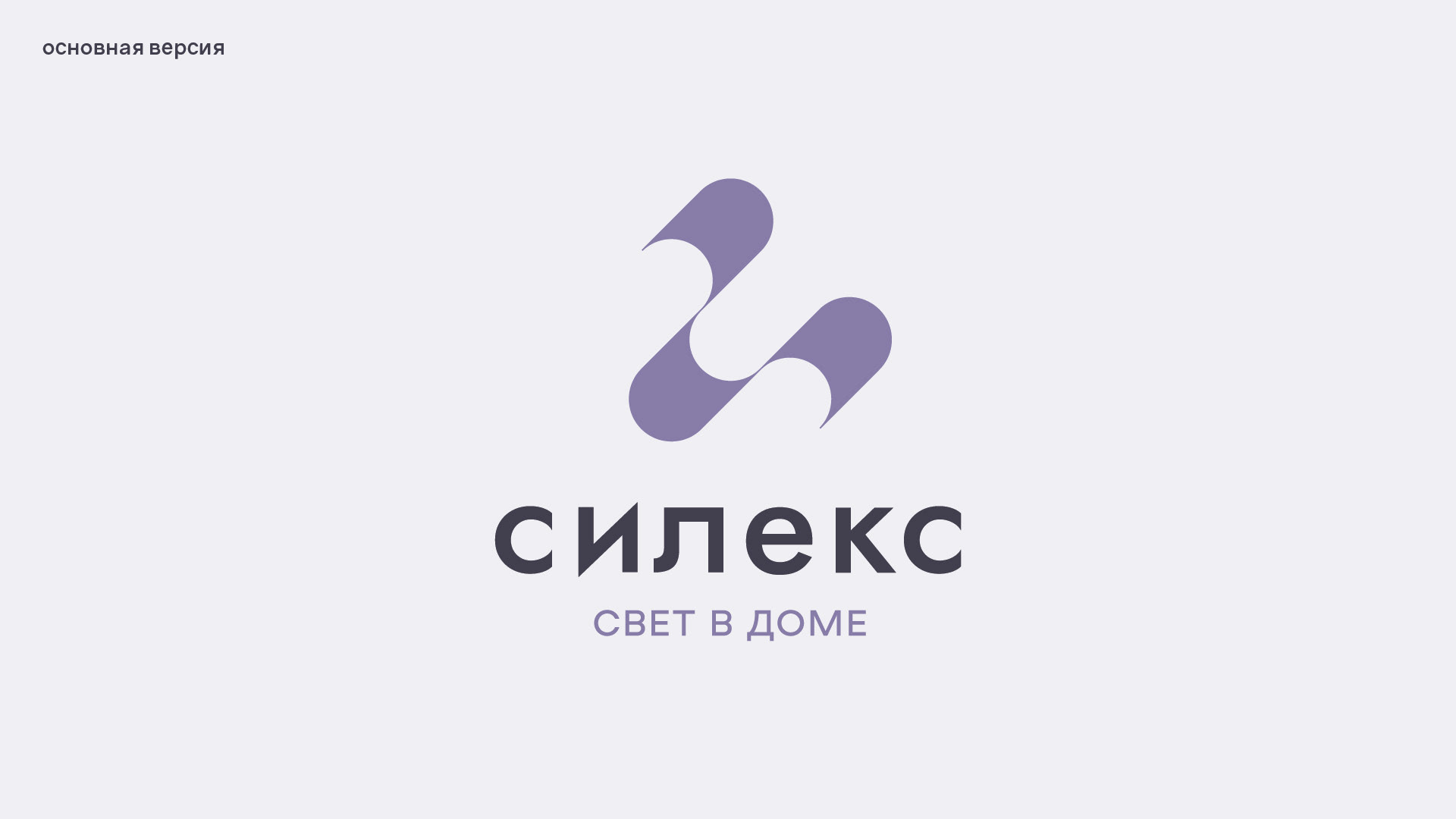 СИЛЕКС | Концепция №2 — Изображение №2 — Брендинг, Графика на Dprofile