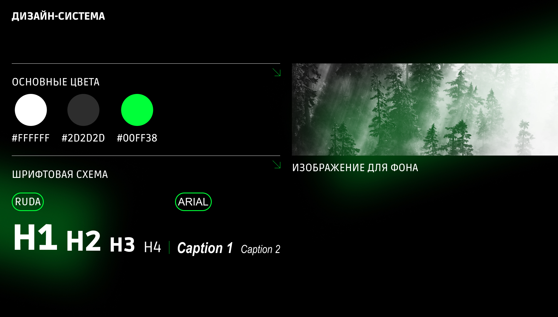 Электронное меню БАР ЛЕСТЧК — Изображение №3 — Иллюстрация, Графика на Dprofile