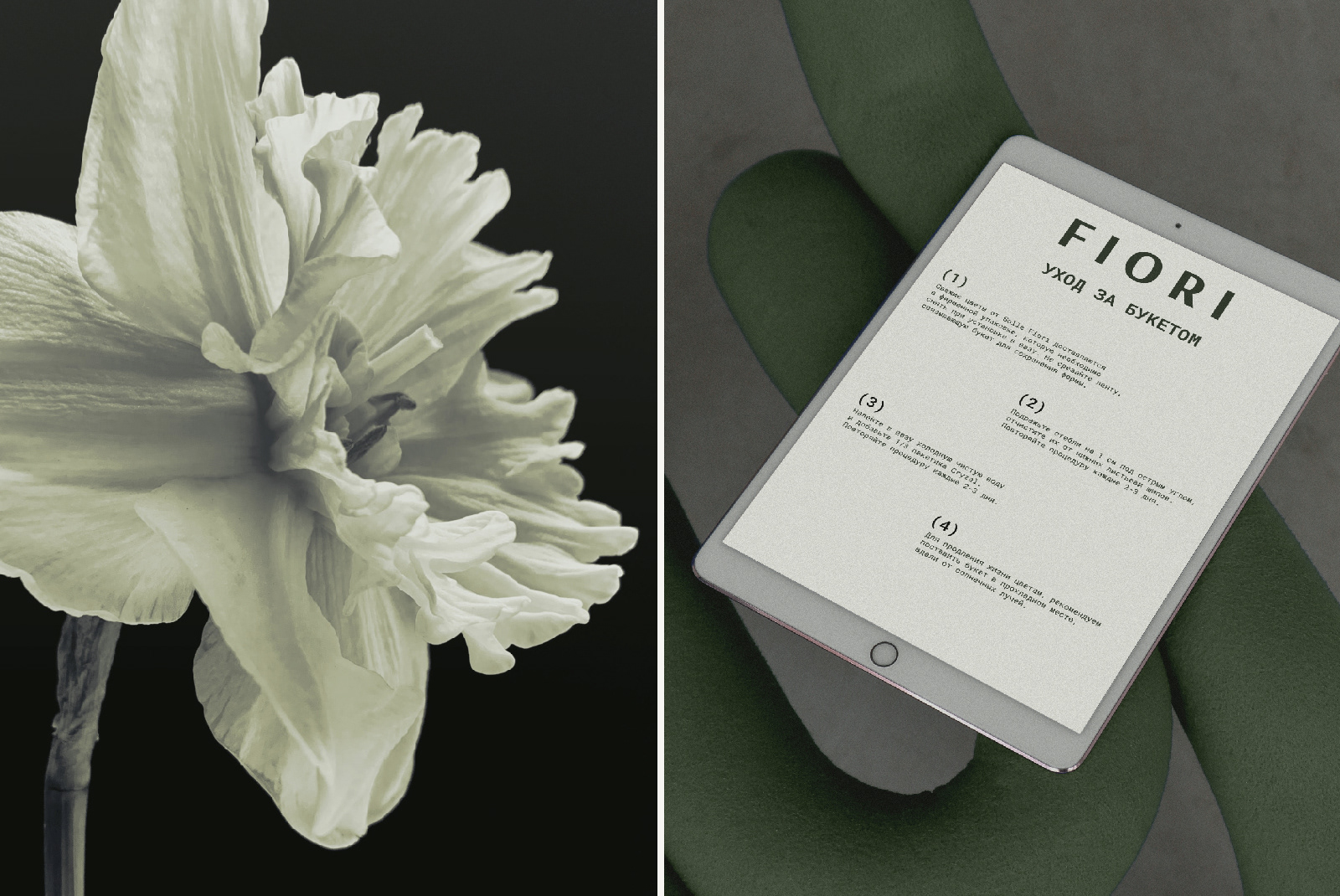 Solle Fiori / Brand identity for floral studio — Изображение №10 — Брендинг, Графика на Dprofile