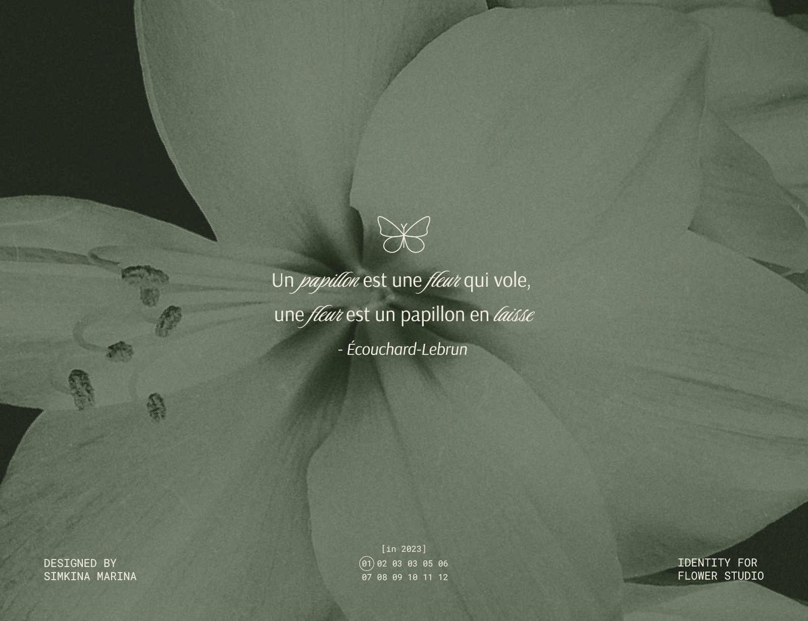 Solle Fiori / Brand identity for floral studio — Изображение №1 — Брендинг, Графика на Dprofile