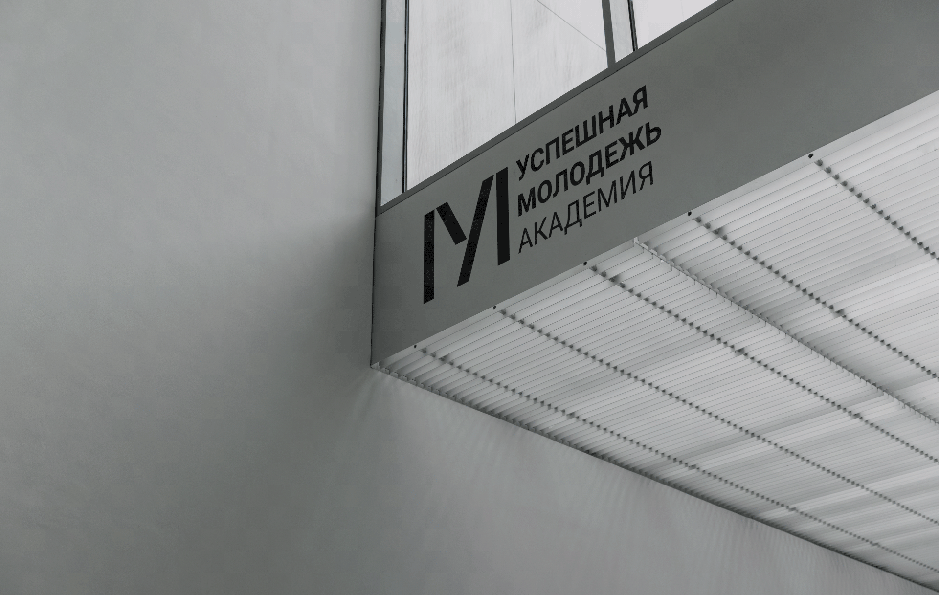 Успешная Молодежь / Айдентика / identity — Изображение №1 — Брендинг, Маркетинг на Dprofile