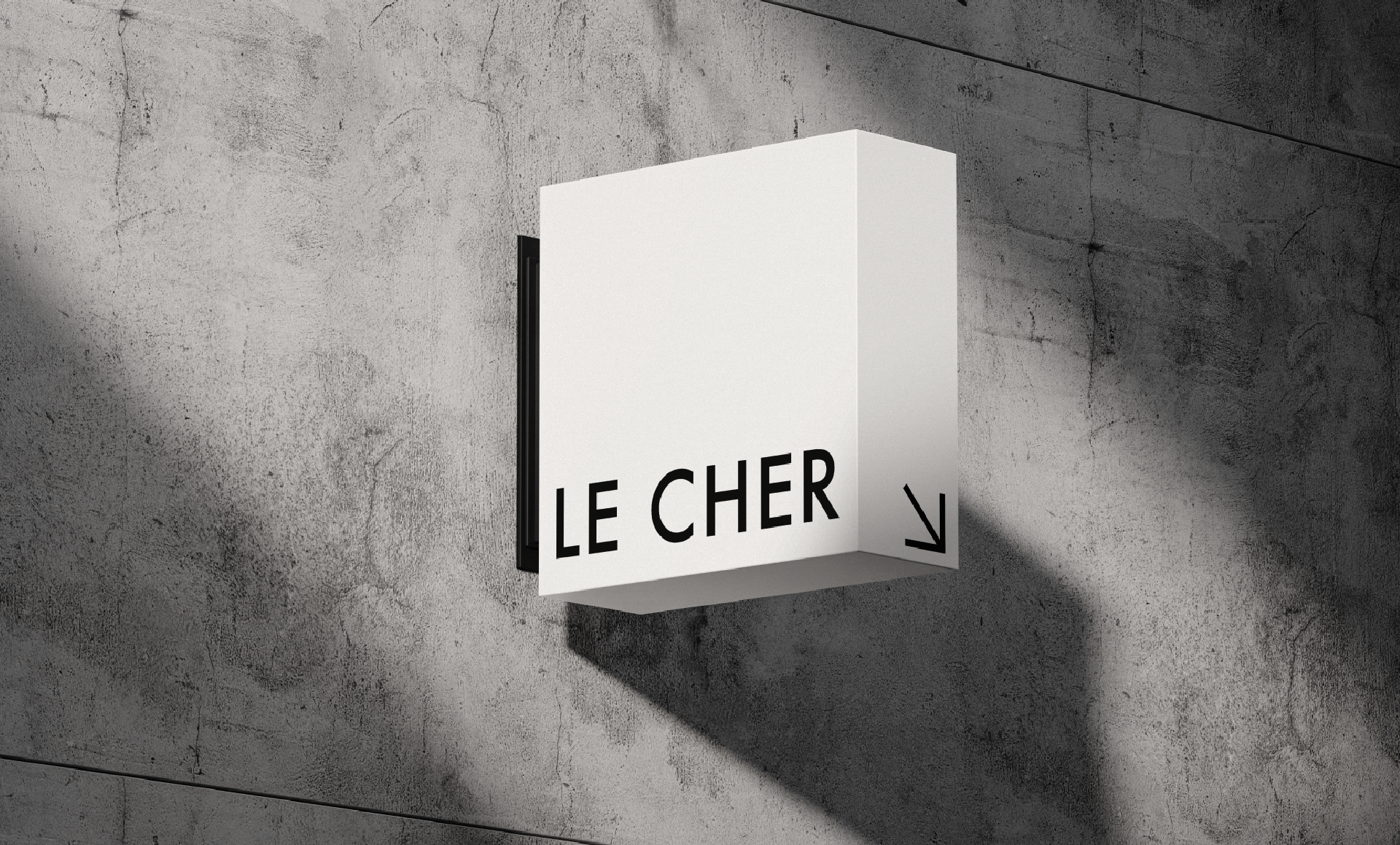 LE CHER - jewelry brand logotype — Изображение №4 — Брендинг, Графика на Dprofile