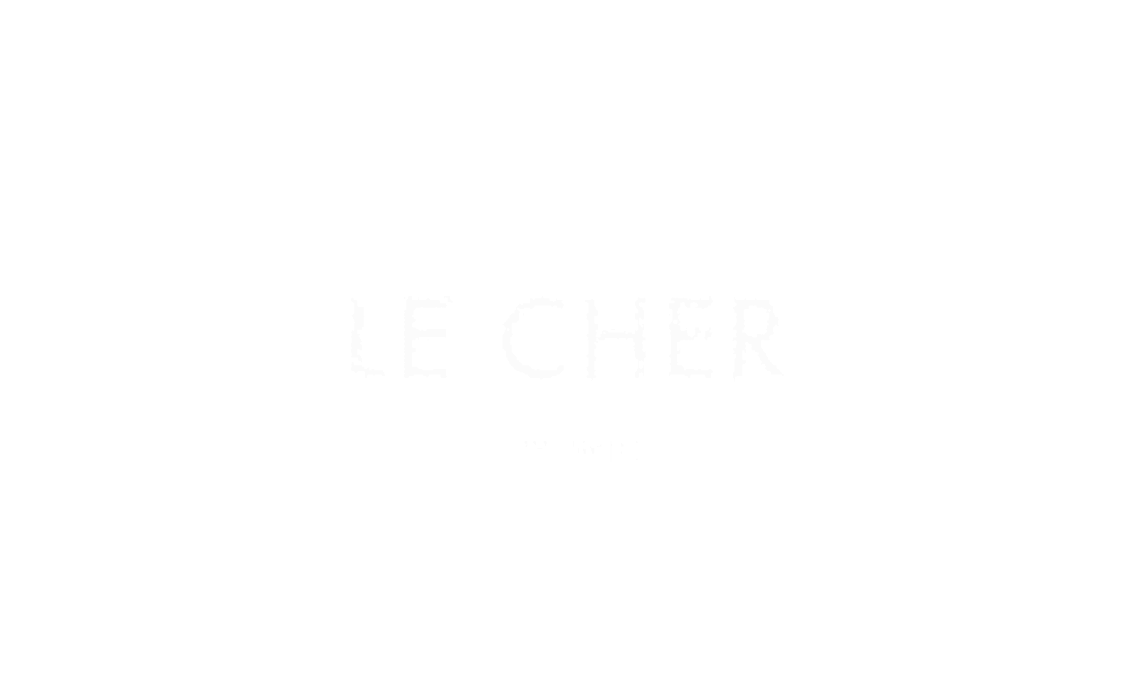 LE CHER - jewelry brand logotype — Изображение №3 — Брендинг, Графика на Dprofile