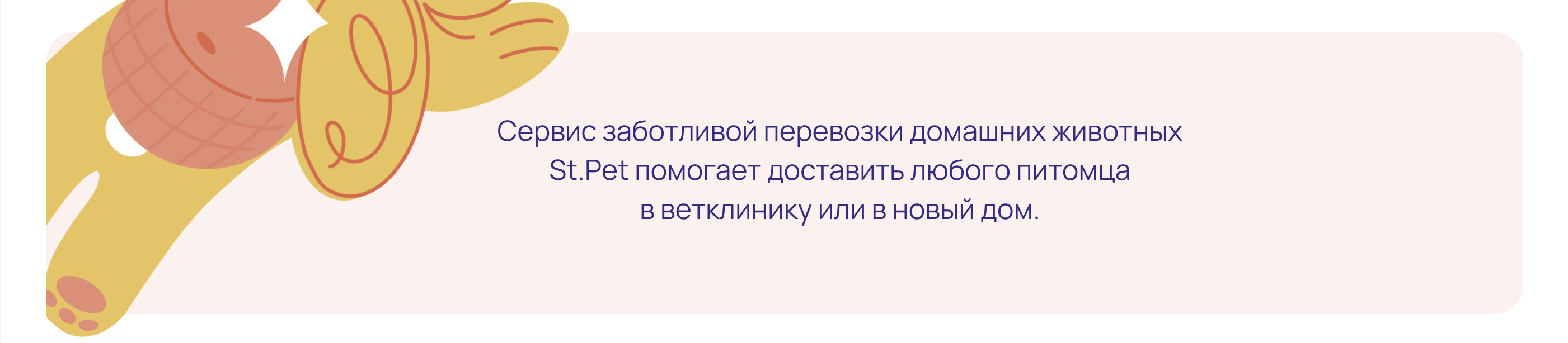 Иллюстрация для сервиса перевозки животных — Изображение №2 — Иллюстрация, Маркетинг на Dprofile