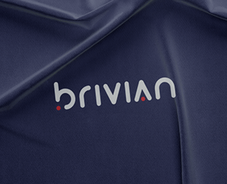 Brivian - IT company logo and branding — Брендинг, Графика на Dprofile