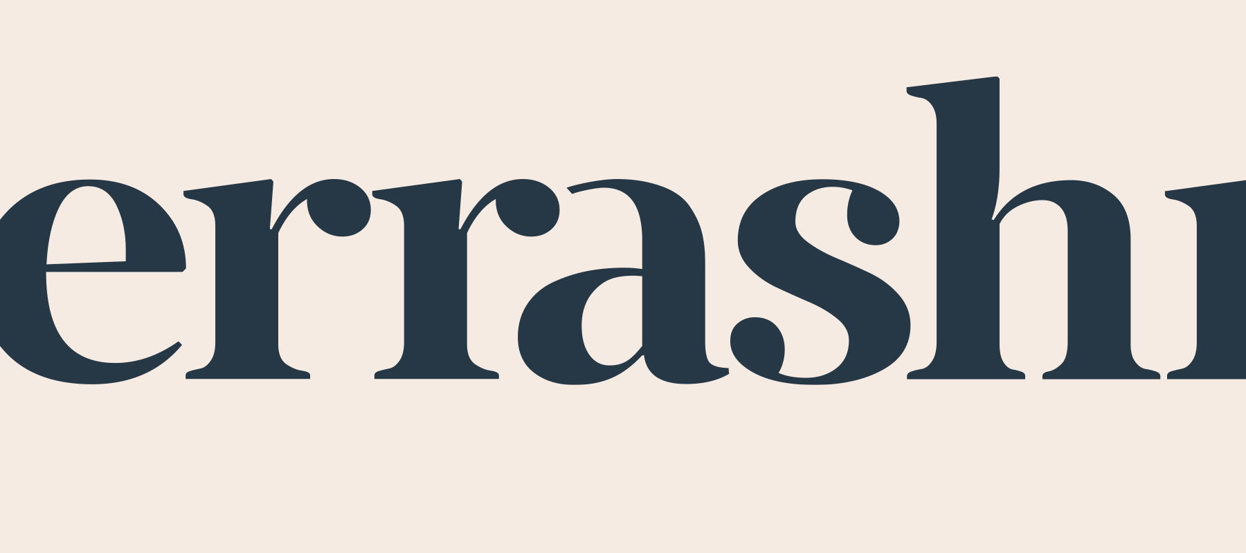 terrashroom — Изображение №10 — Брендинг на Dprofile