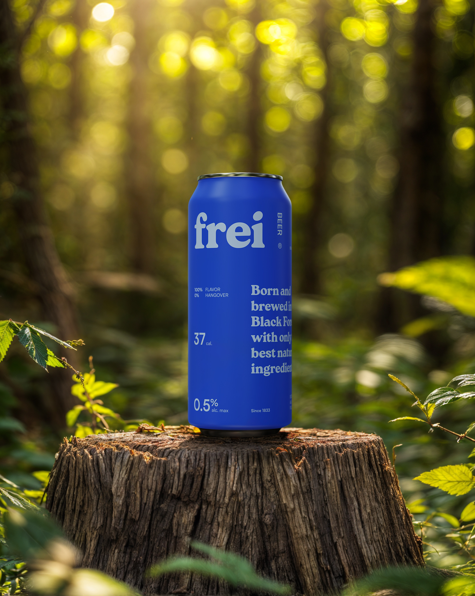 frei beer — Изображение №19 — Брендинг на Dprofile