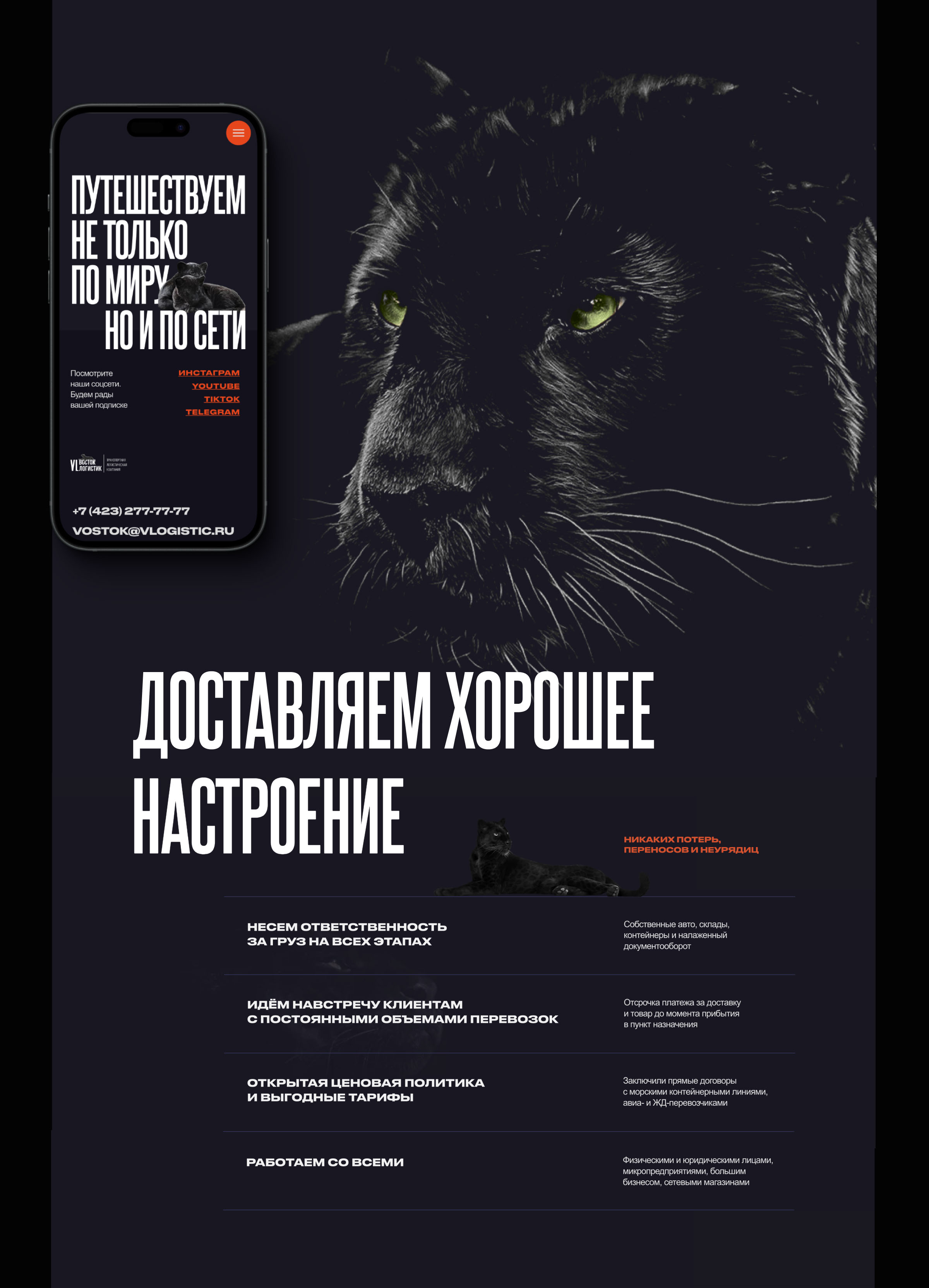 Восток-Логистик — Изображение №4 — Интерфейсы на Dprofile