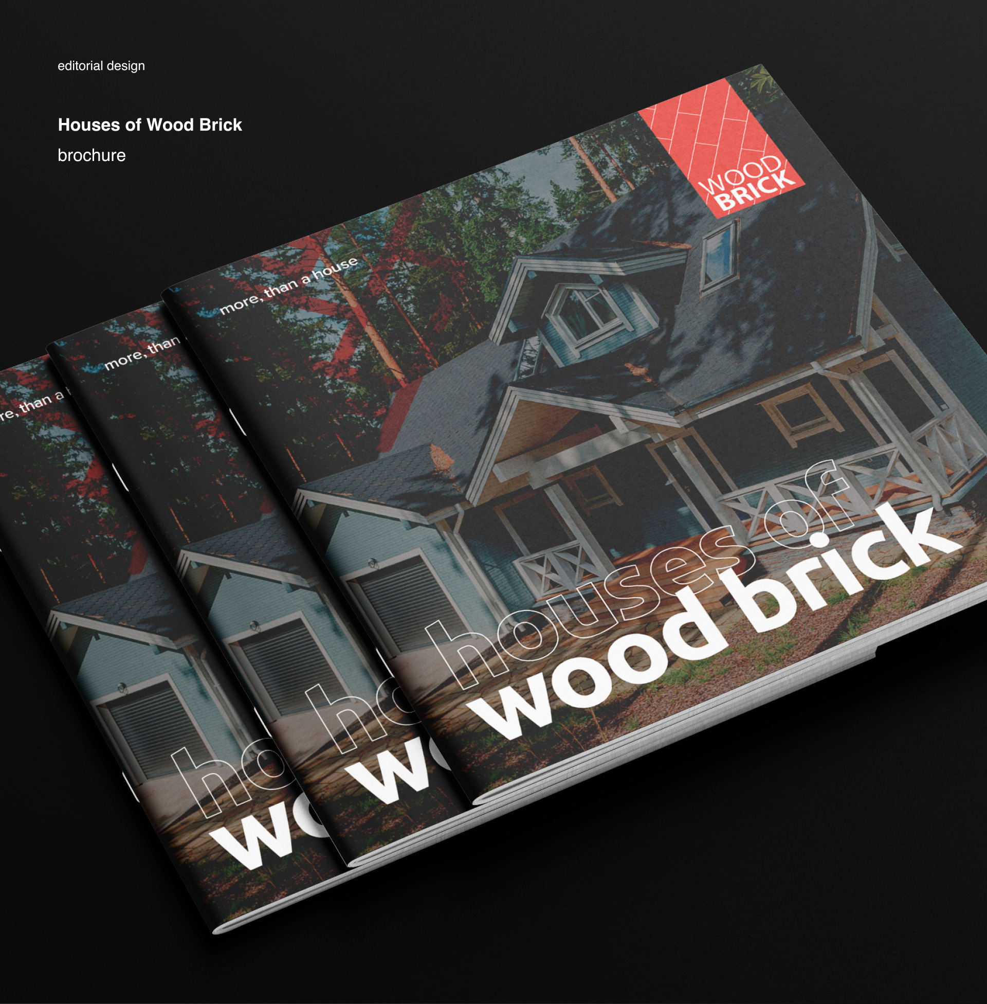 Буклет для Wood Brick — Изображение №1 — Графика на Dprofile
