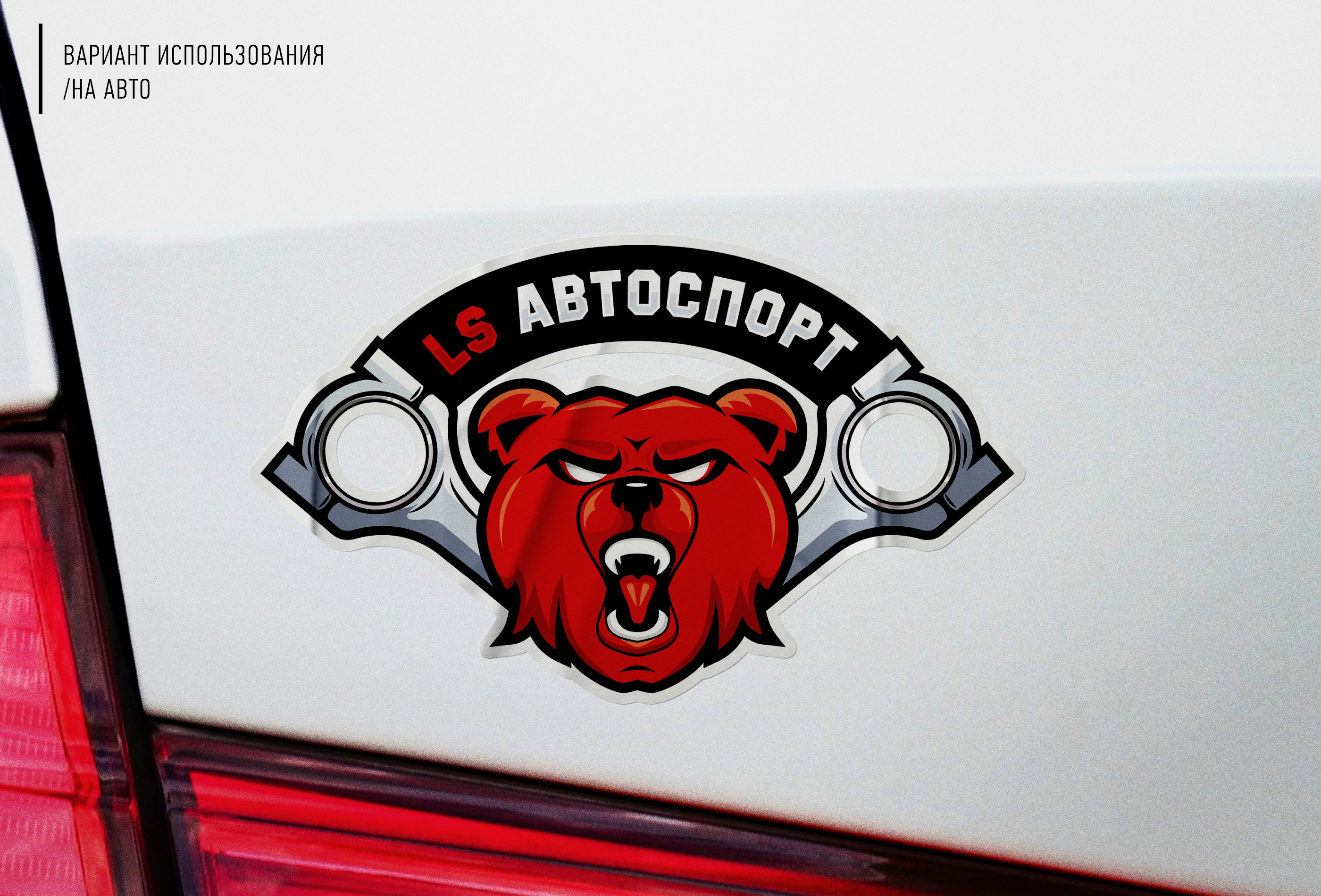 Логотип / маскот для LS АВТОСПОРТ — Изображение №3 — Брендинг, Иллюстрация на Dprofile