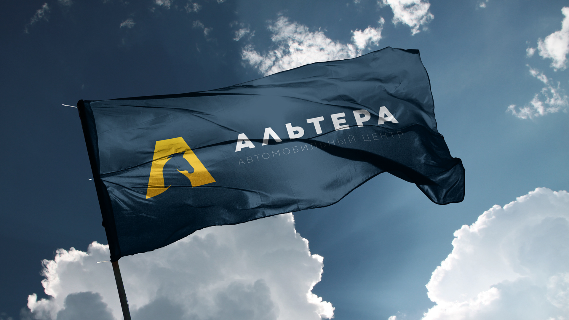 Альтера — автоцентр — Изображение №8 — Брендинг на Dprofile