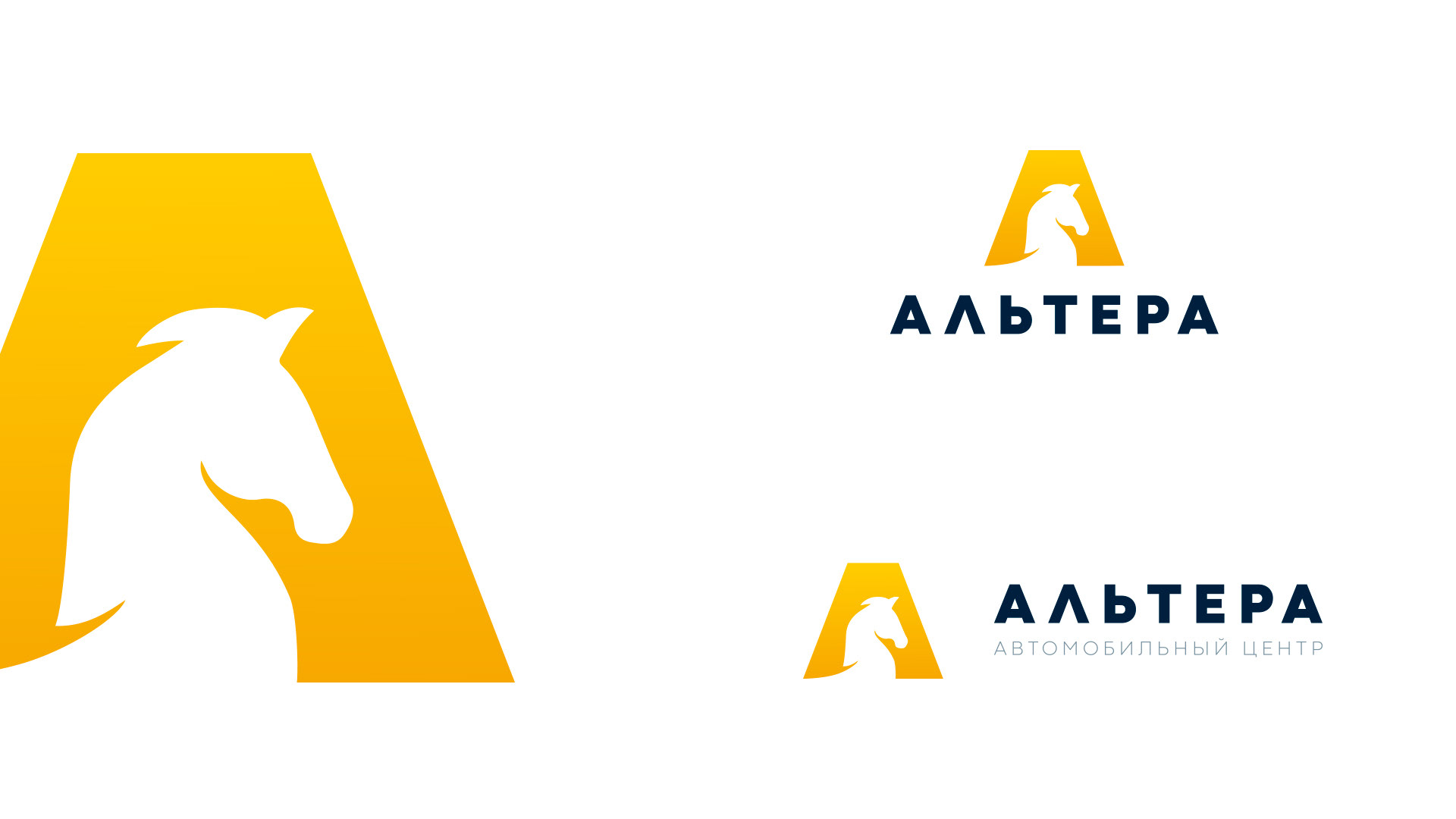 Альтера — автоцентр — Изображение №4 — Брендинг на Dprofile