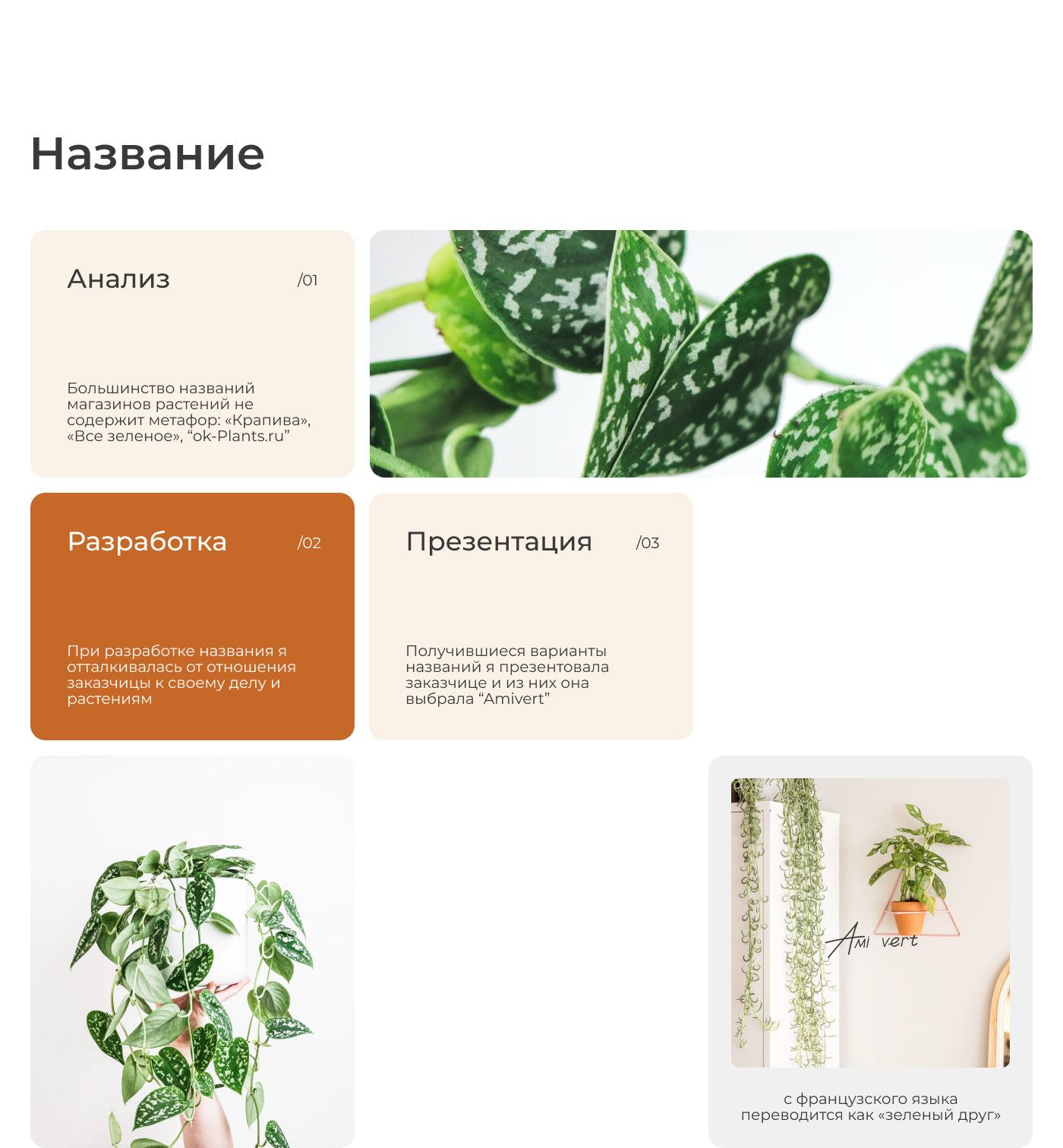 Визуальная упаковка магазина Amivert — Изображение №8 — Интерфейсы, Брендинг на Dprofile