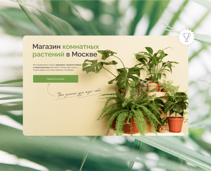 Визуальная упаковка магазина Amivert — Интерфейсы, Брендинг на Dprofile