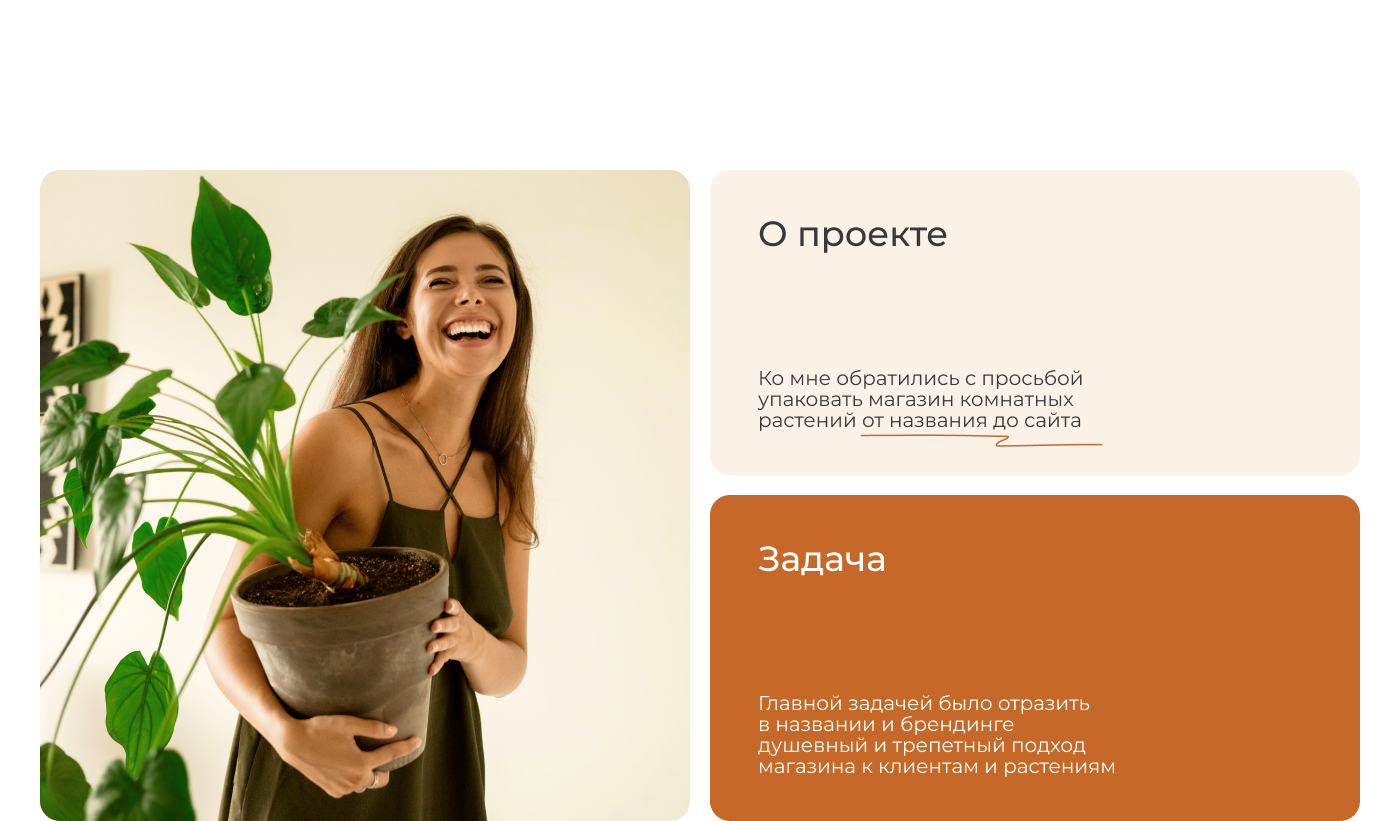 Визуальная упаковка магазина Amivert — Изображение №2 — Интерфейсы, Брендинг на Dprofile