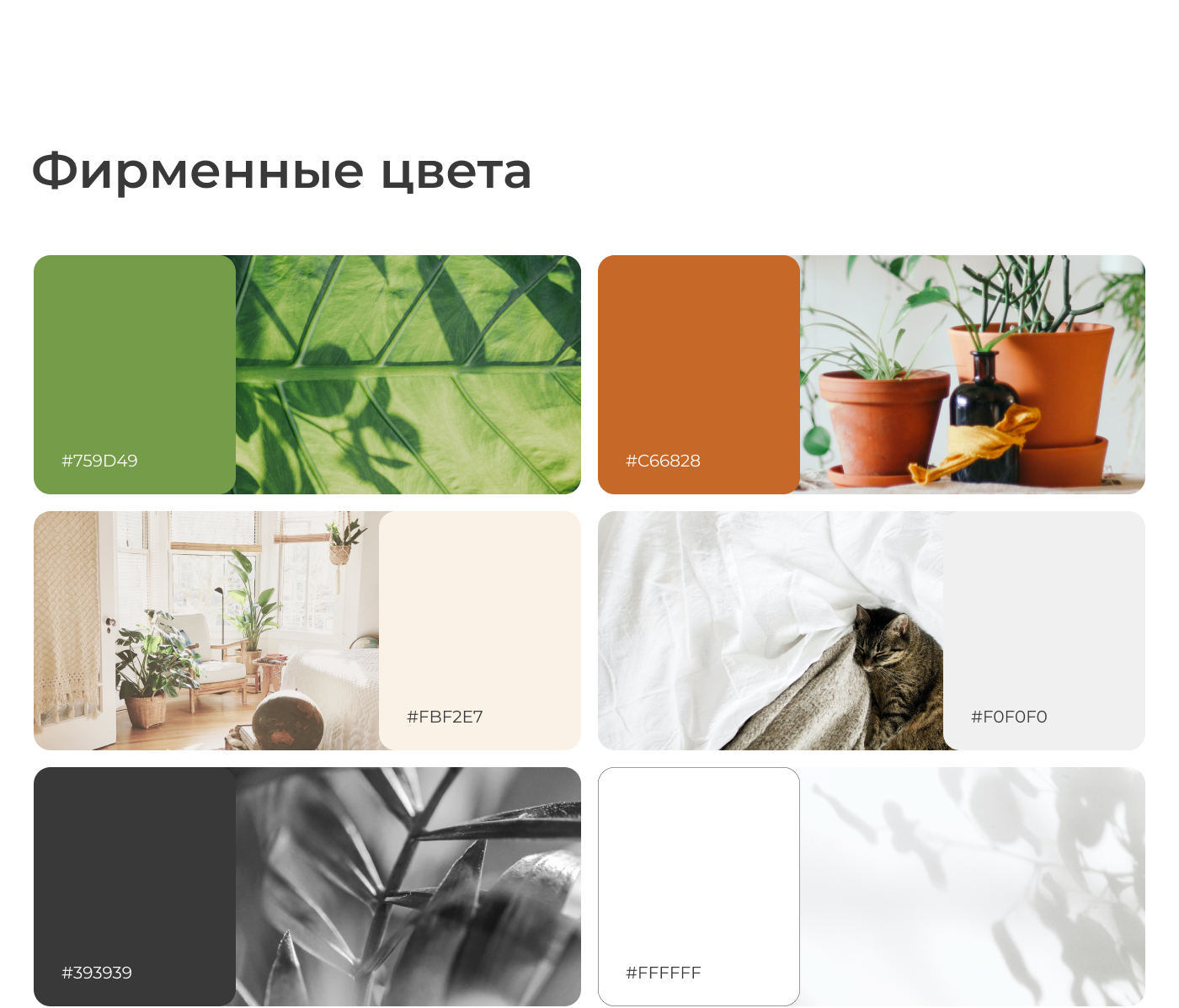 Визуальная упаковка магазина Amivert — Изображение №6 — Интерфейсы, Брендинг на Dprofile