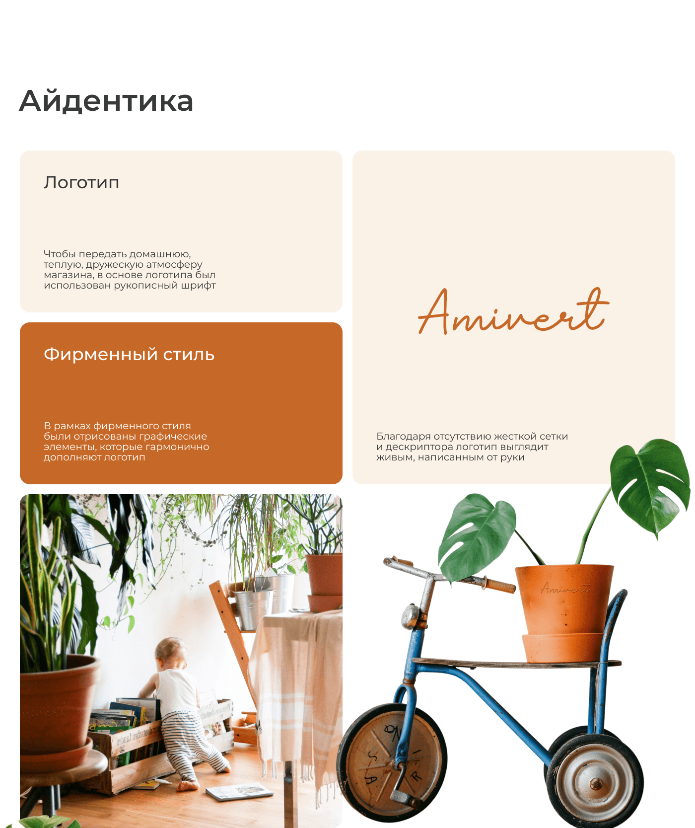 Визуальная упаковка магазина Amivert — Изображение №9 — Интерфейсы, Брендинг на Dprofile
