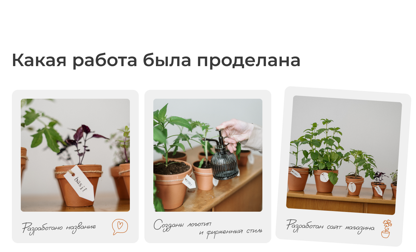 Визуальная упаковка магазина Amivert — Изображение №3 — Интерфейсы, Брендинг на Dprofile