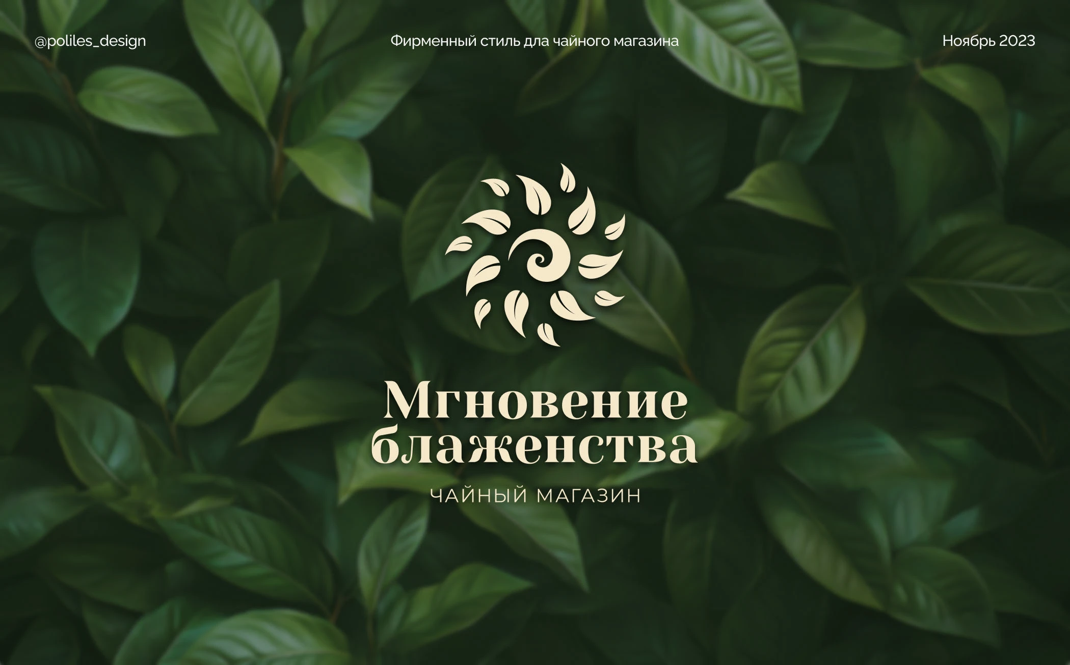Фирменный стиль для чайного магазина — Изображение №1 — Брендинг на Dprofile