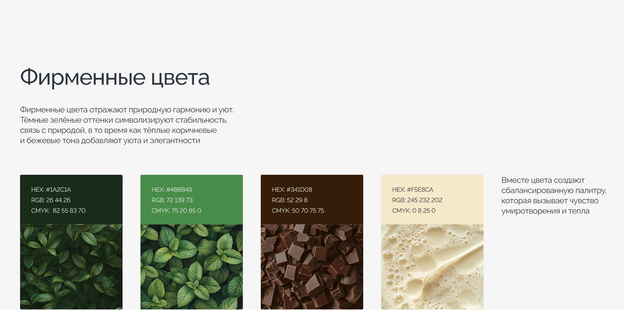 Фирменный стиль для чайного магазина — Изображение №7 — Брендинг на Dprofile