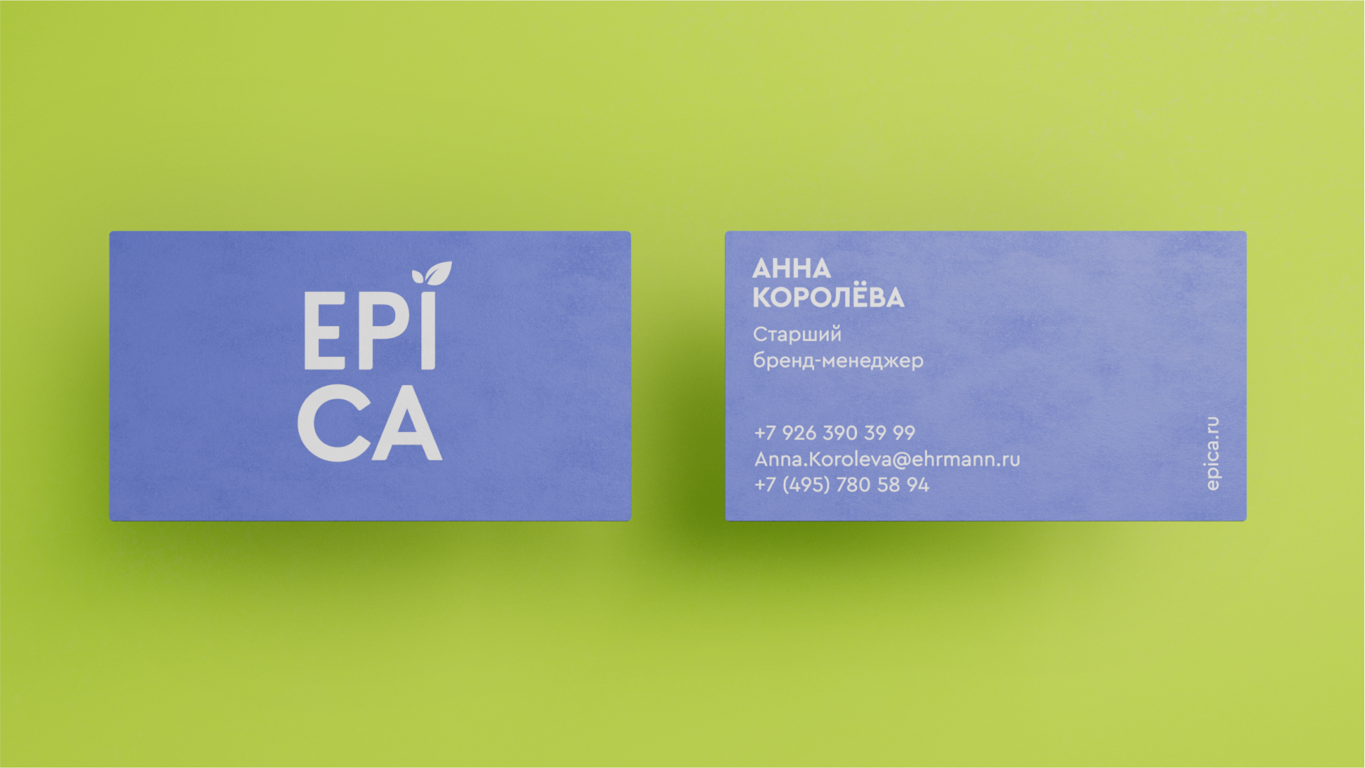 Design System for EPICA — Изображение №5 — Брендинг на Dprofile