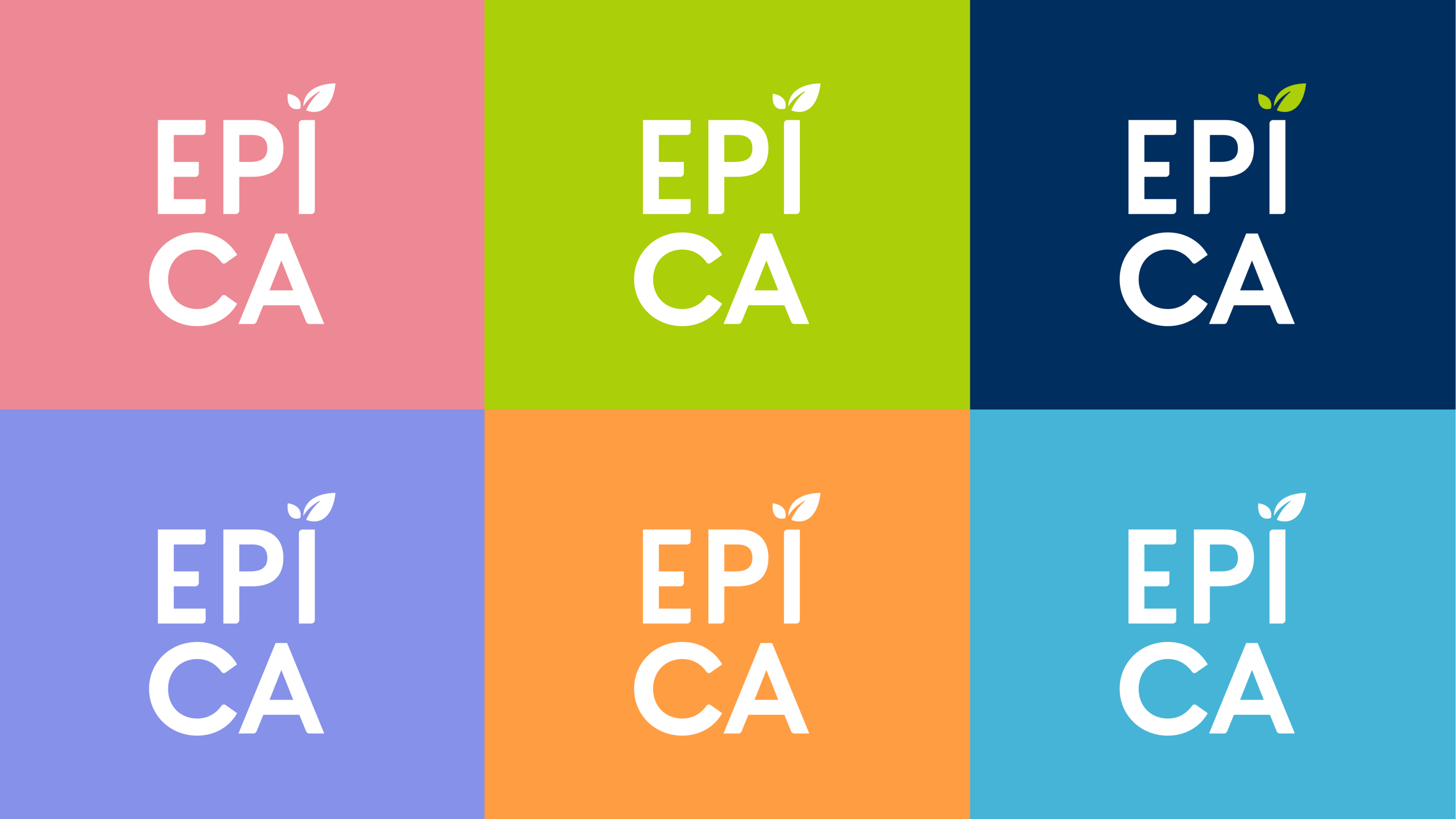 Design System for EPICA — Изображение №3 — Брендинг на Dprofile