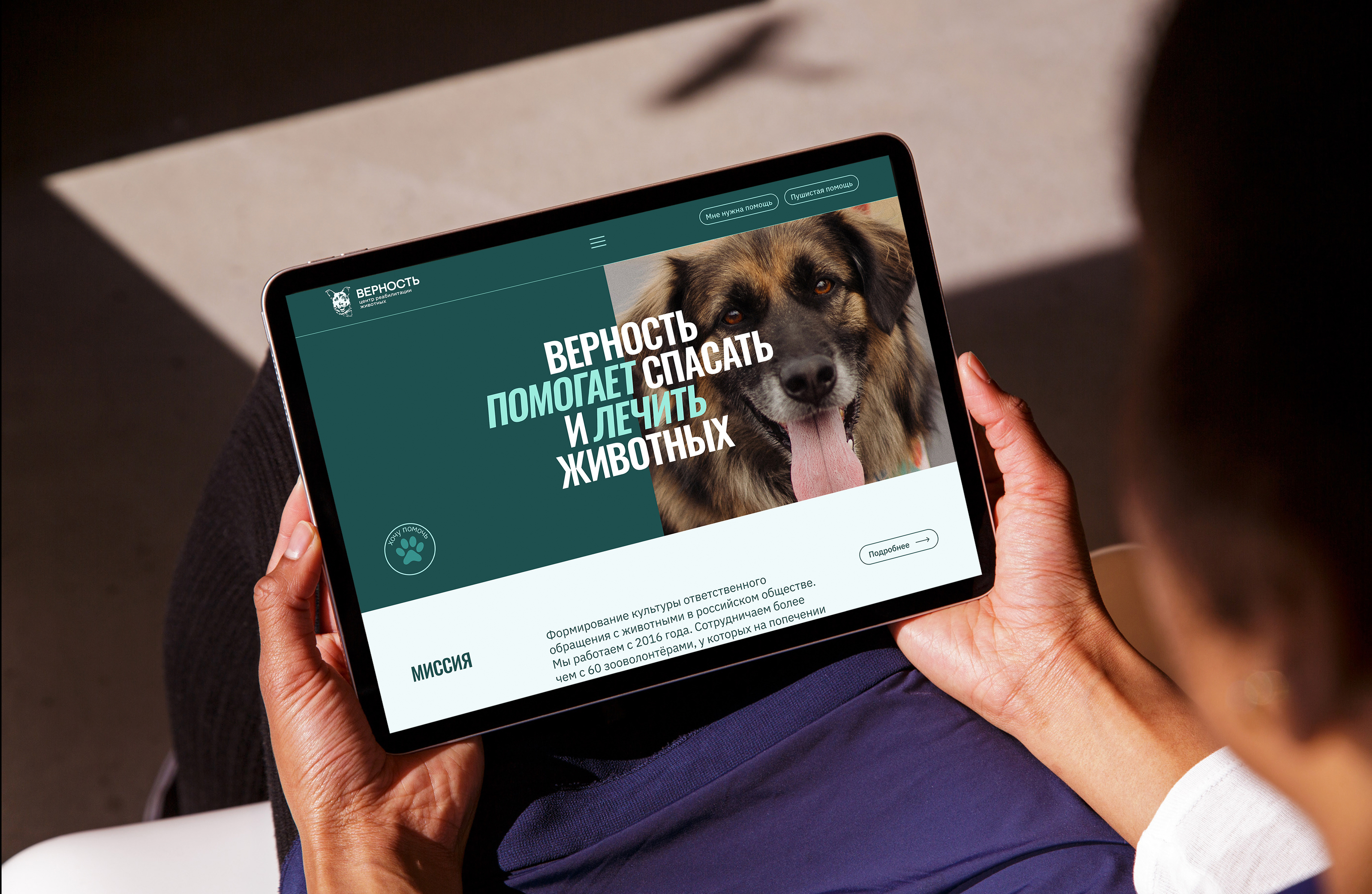 Верность. Айдентика Pro Bono — Изображение №8 — Интерфейсы, Брендинг на Dprofile