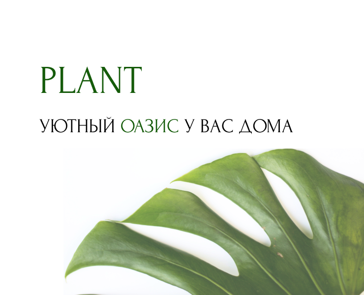 Plant интернет-магазин растенийй — Интерфейсы на Dprofile