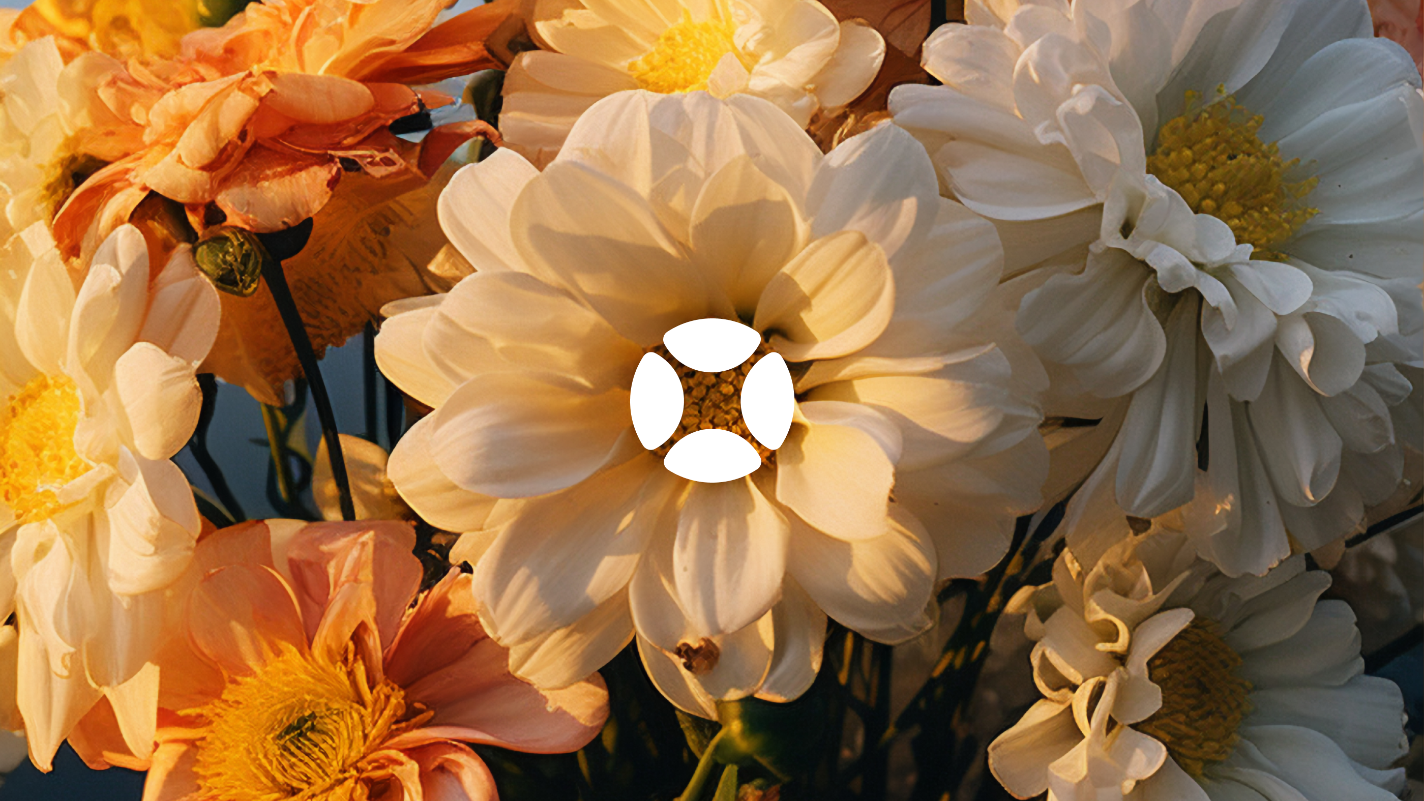 BP Shop | Брендинг и айдентика, веб-дизайн, продакшн — Изображение №10 — Интерфейсы, Брендинг на Dprofile