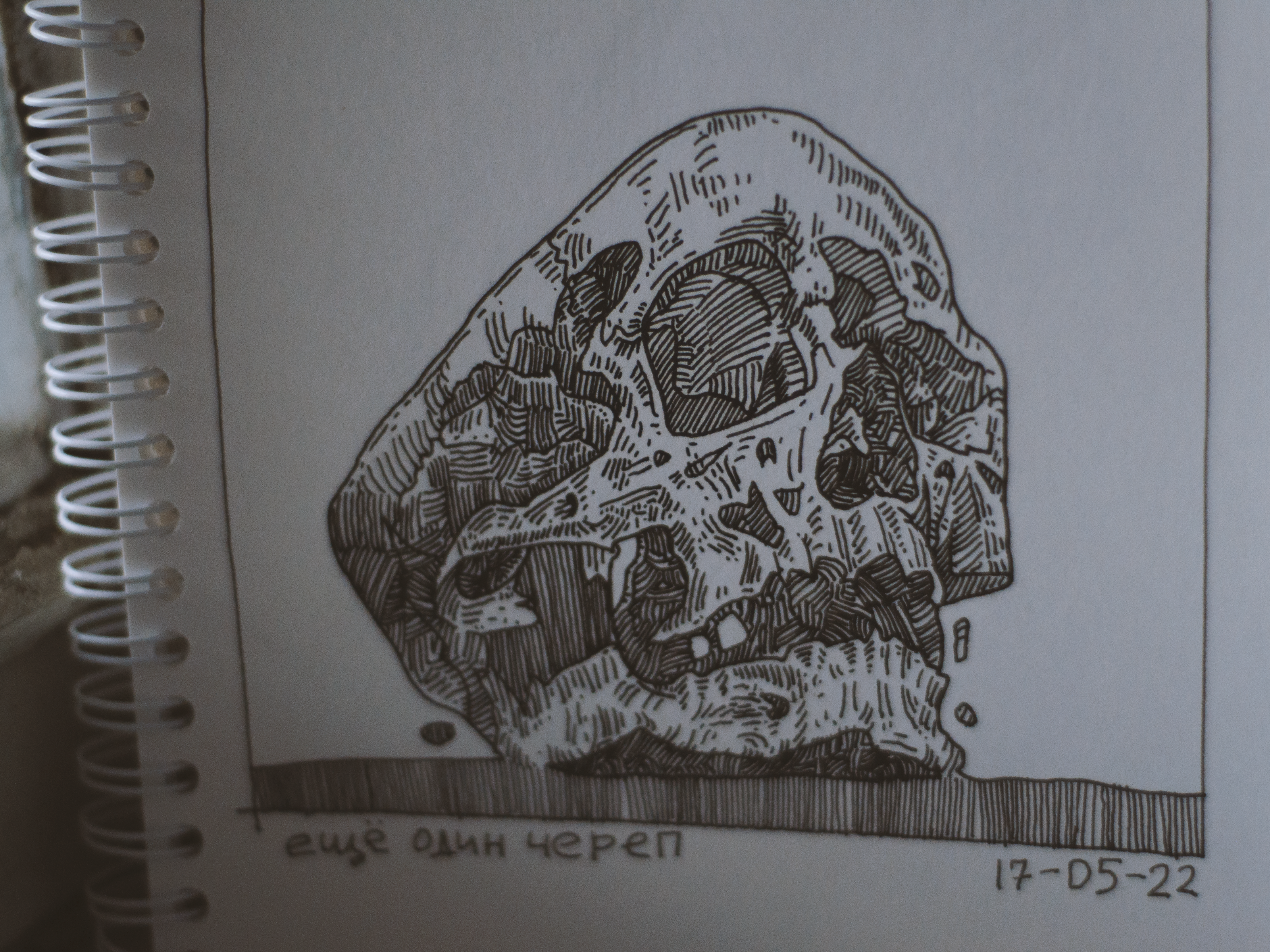 Sketchbook 30.04.22-28.05.22 — Изображение №3 — Иллюстрация на Dprofile