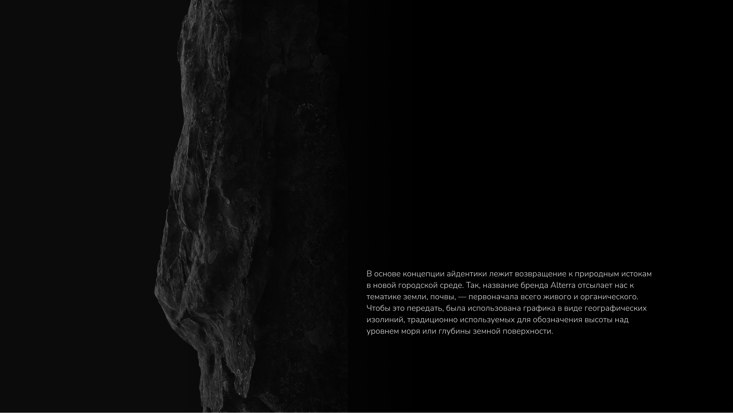 ALTERRA — Изображение №9 — Брендинг, Графика на Dprofile