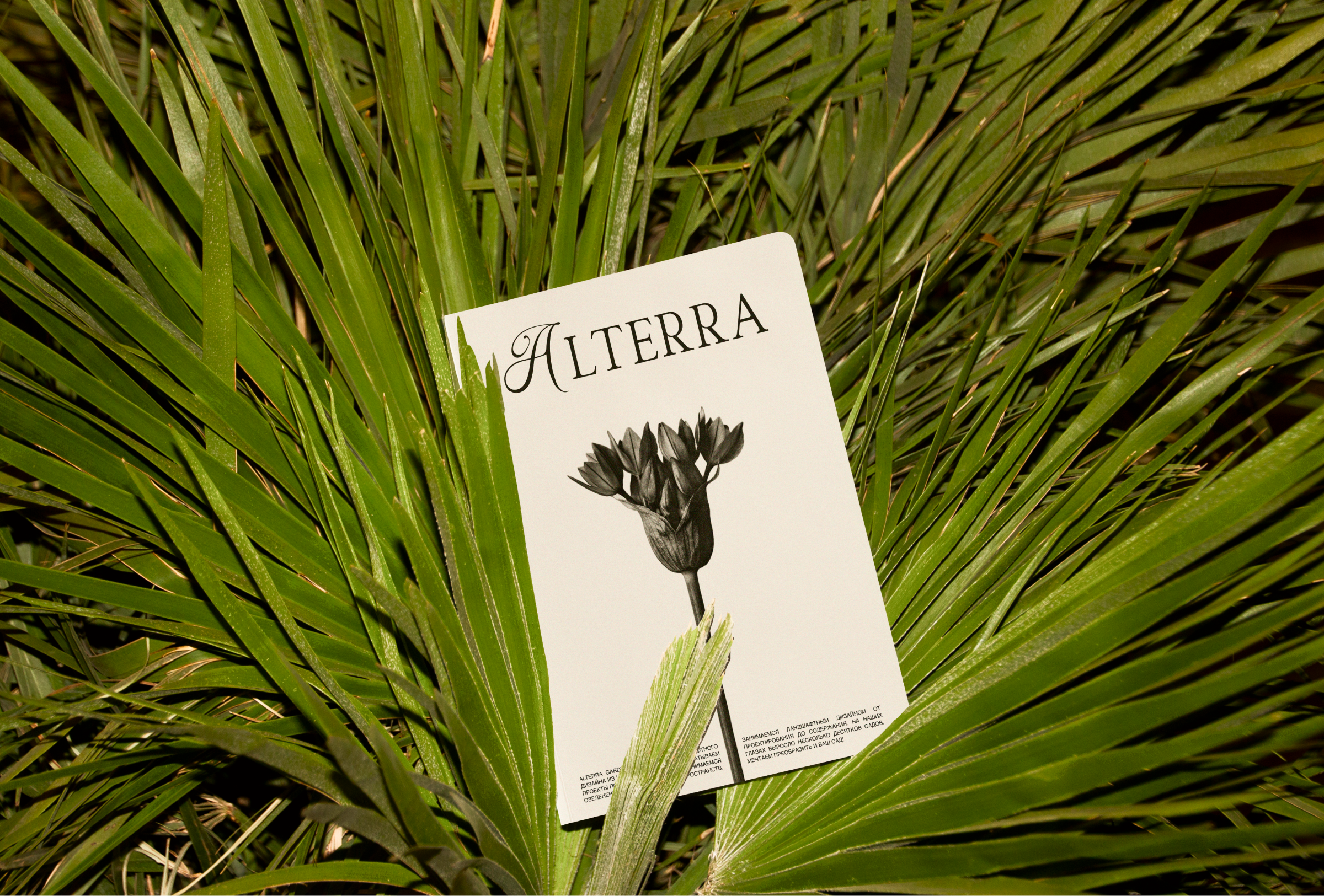 ALTERRA — Изображение №1 — Брендинг, Графика на Dprofile