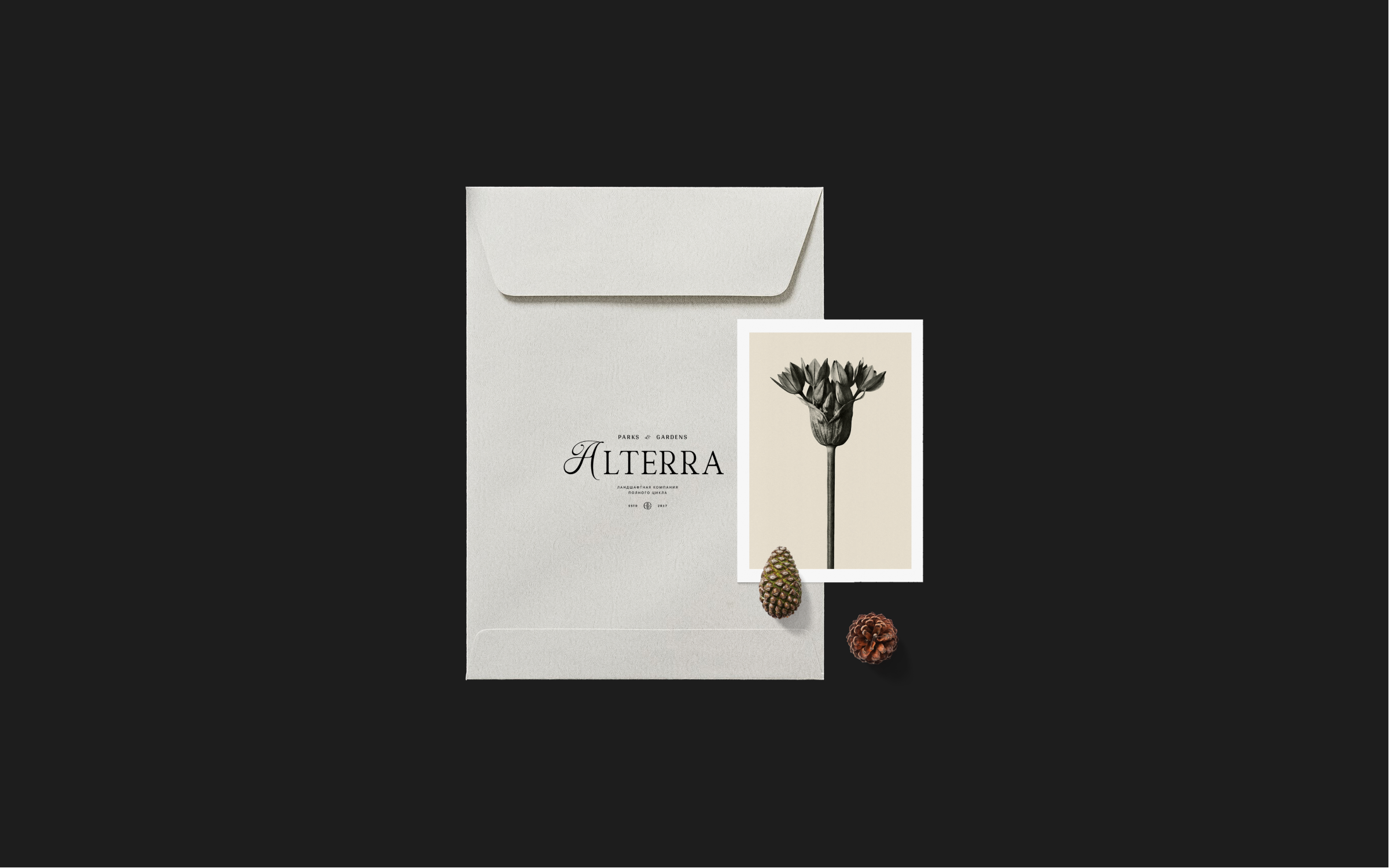 ALTERRA — Изображение №4 — Брендинг, Графика на Dprofile
