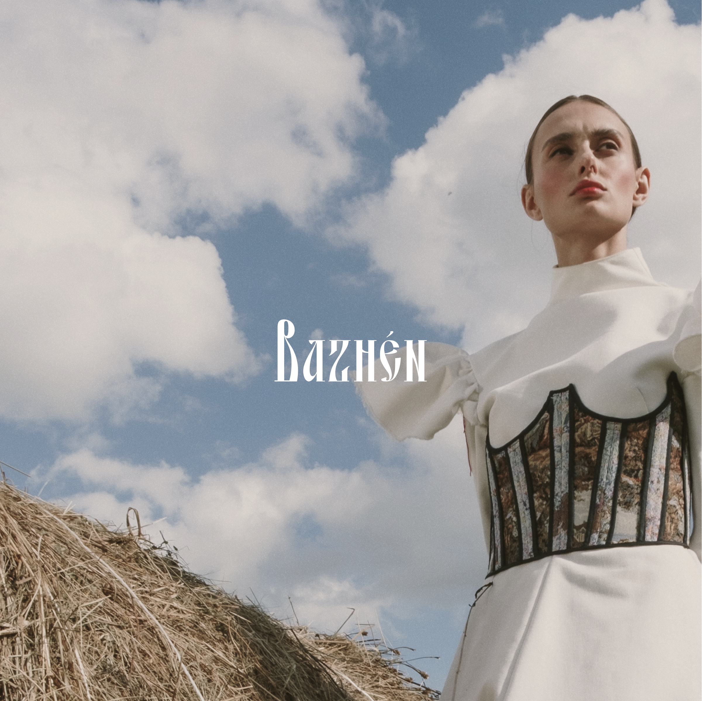 BAZHEN — Изображение №1 — Брендинг, Графика на Dprofile
