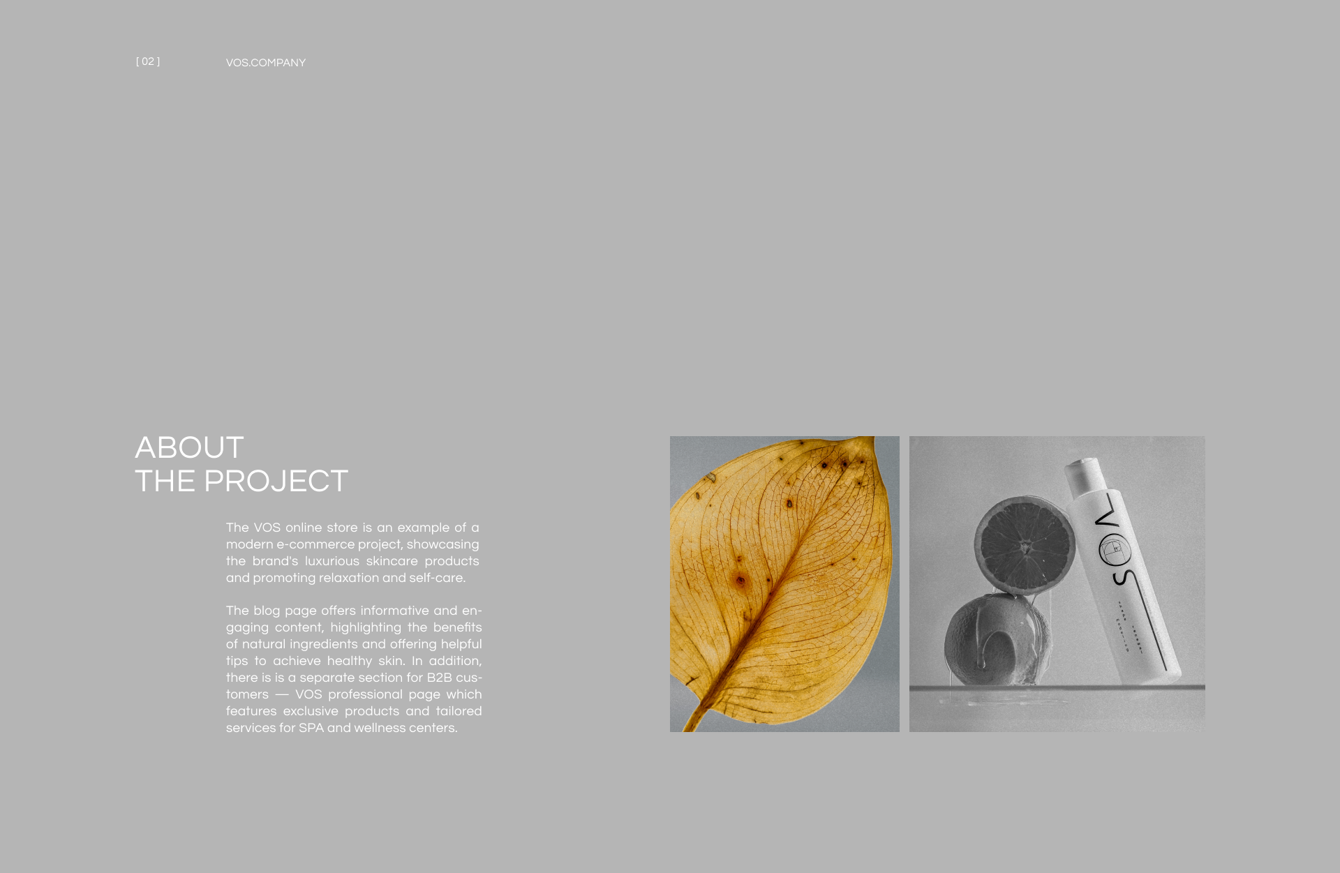 VOS — WEB & ART DIRECTION — Изображение №4 — Интерфейсы, Маркетинг на Dprofile