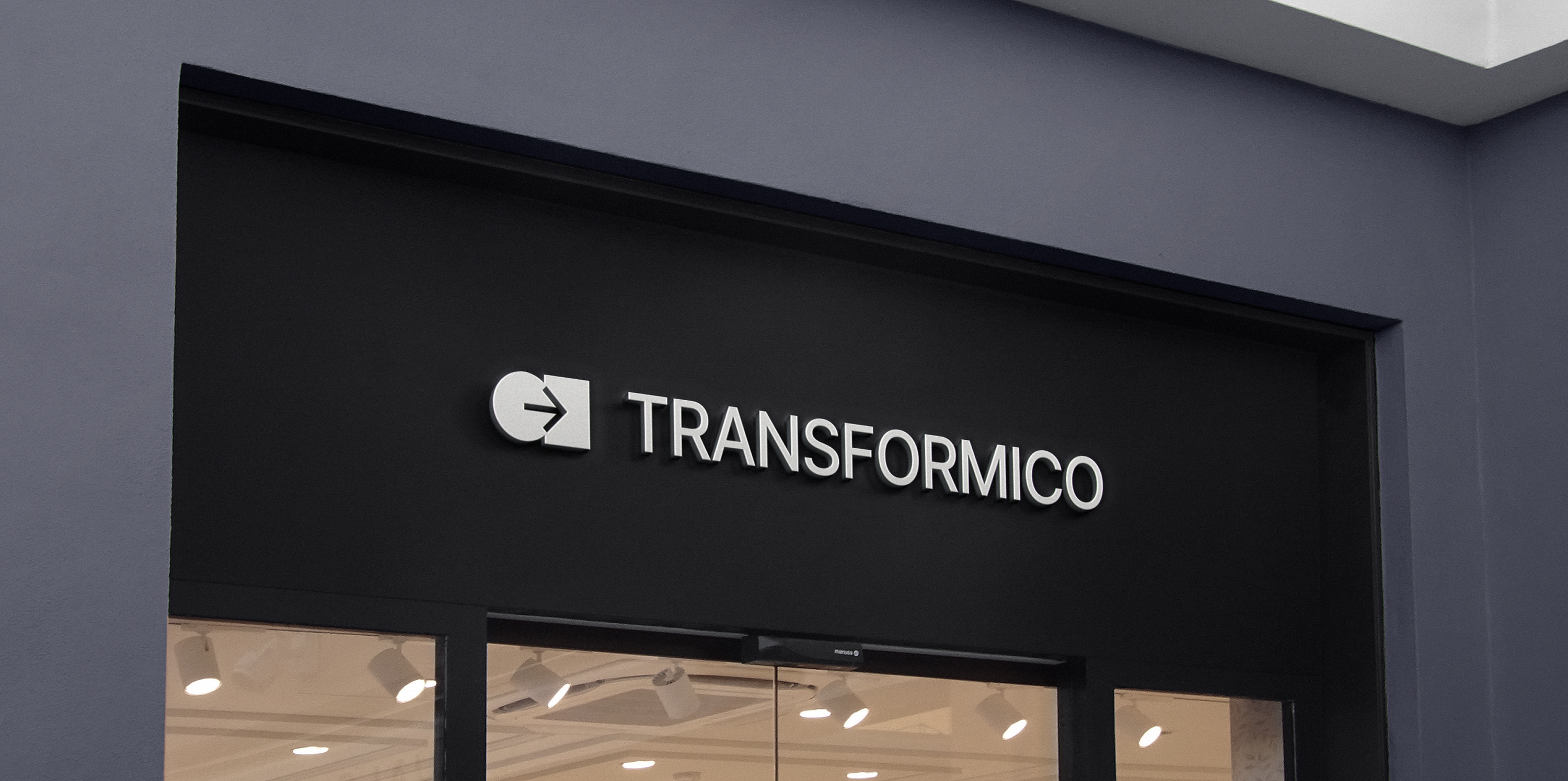 TRANSFORMICO BRANDING — Изображение №8 — Брендинг, Графика на Dprofile
