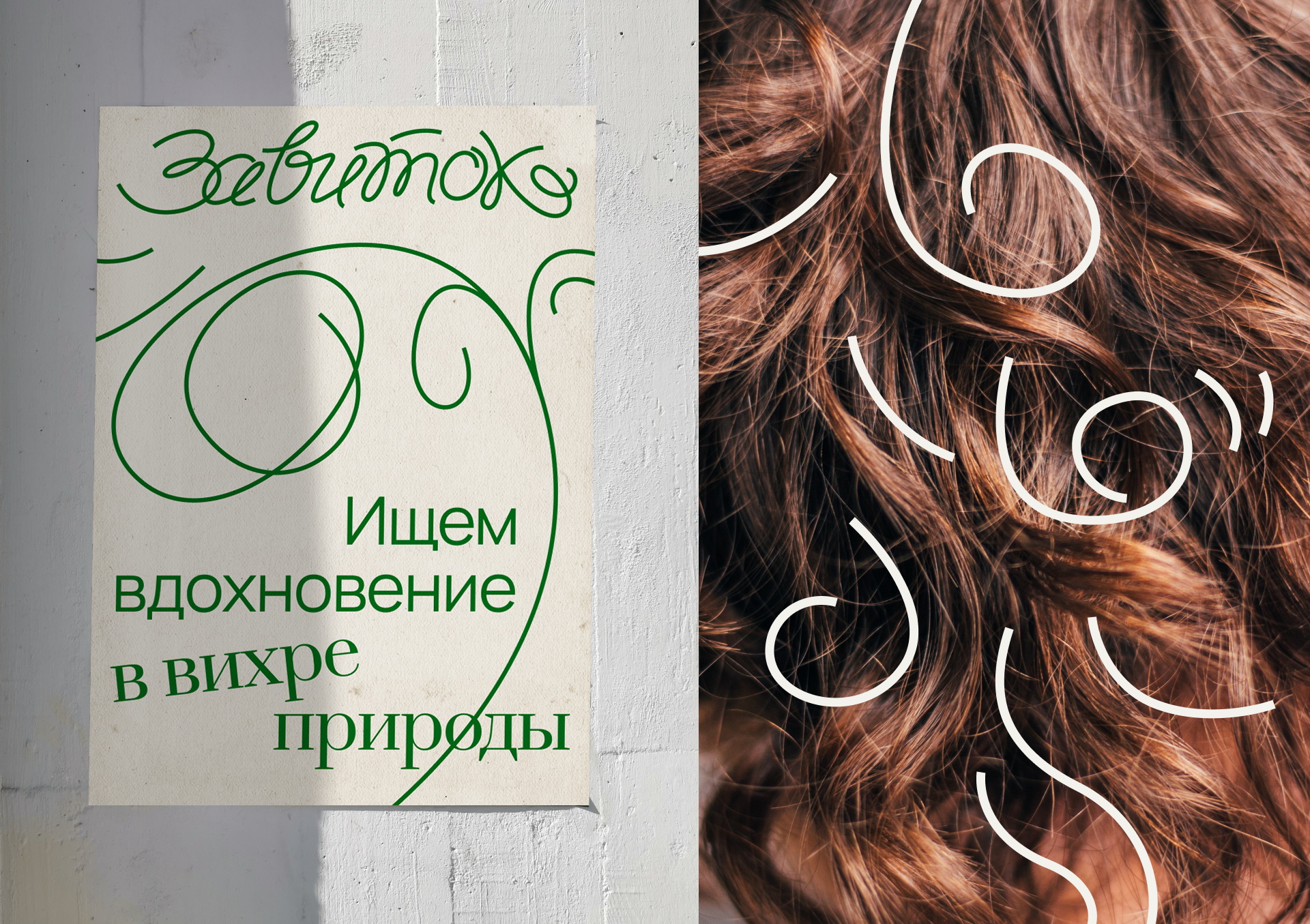 Школа кудрявой стрижки — Изображение №2 — Брендинг, Графика на Dprofile