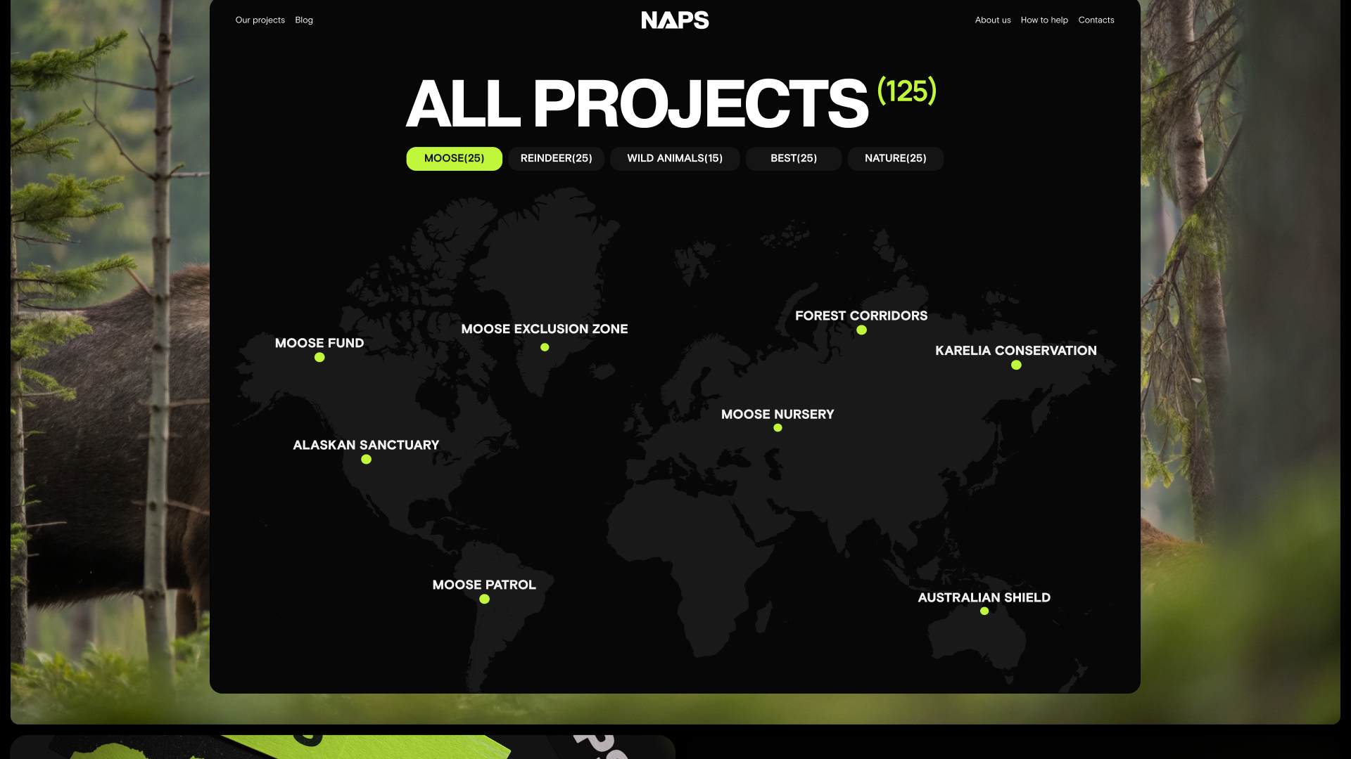 NAPS — сайт для Норвежской ассоциации защиты животных — Изображение №17 — Интерфейсы на Dprofile