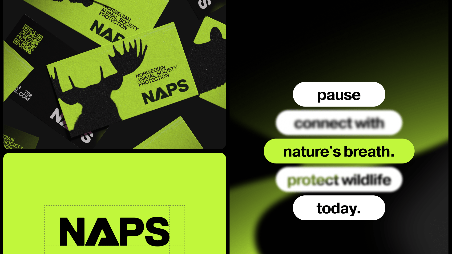 NAPS — сайт для Норвежской ассоциации защиты животных — Изображение №18 — Интерфейсы на Dprofile