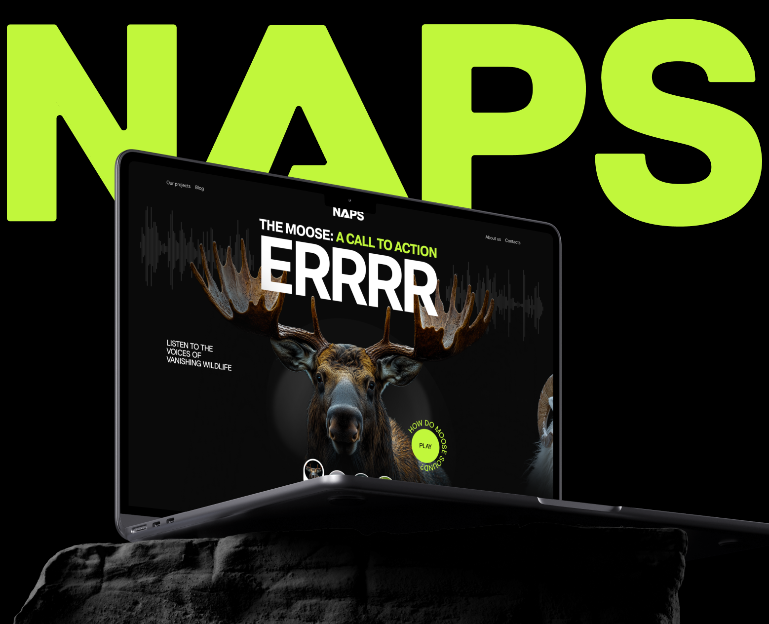 NAPS — сайт для Норвежской ассоциации защиты животных — Интерфейсы на Dprofile