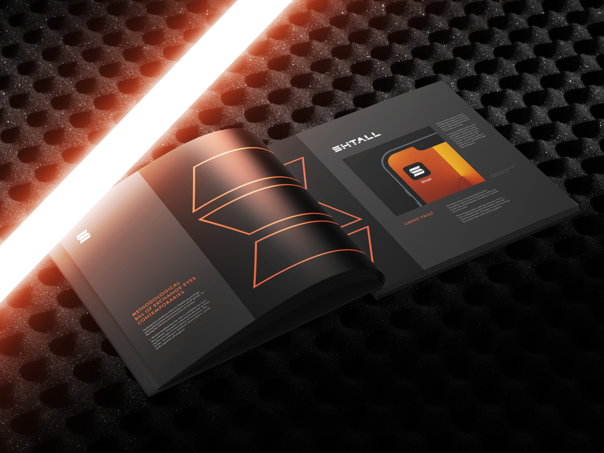 SHTALL Brand Identity — Изображение №9 — Брендинг на Dprofile