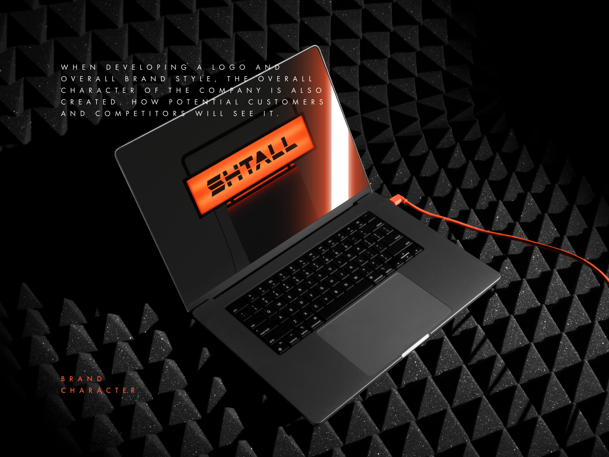 SHTALL Brand Identity — Изображение №22 — Брендинг на Dprofile