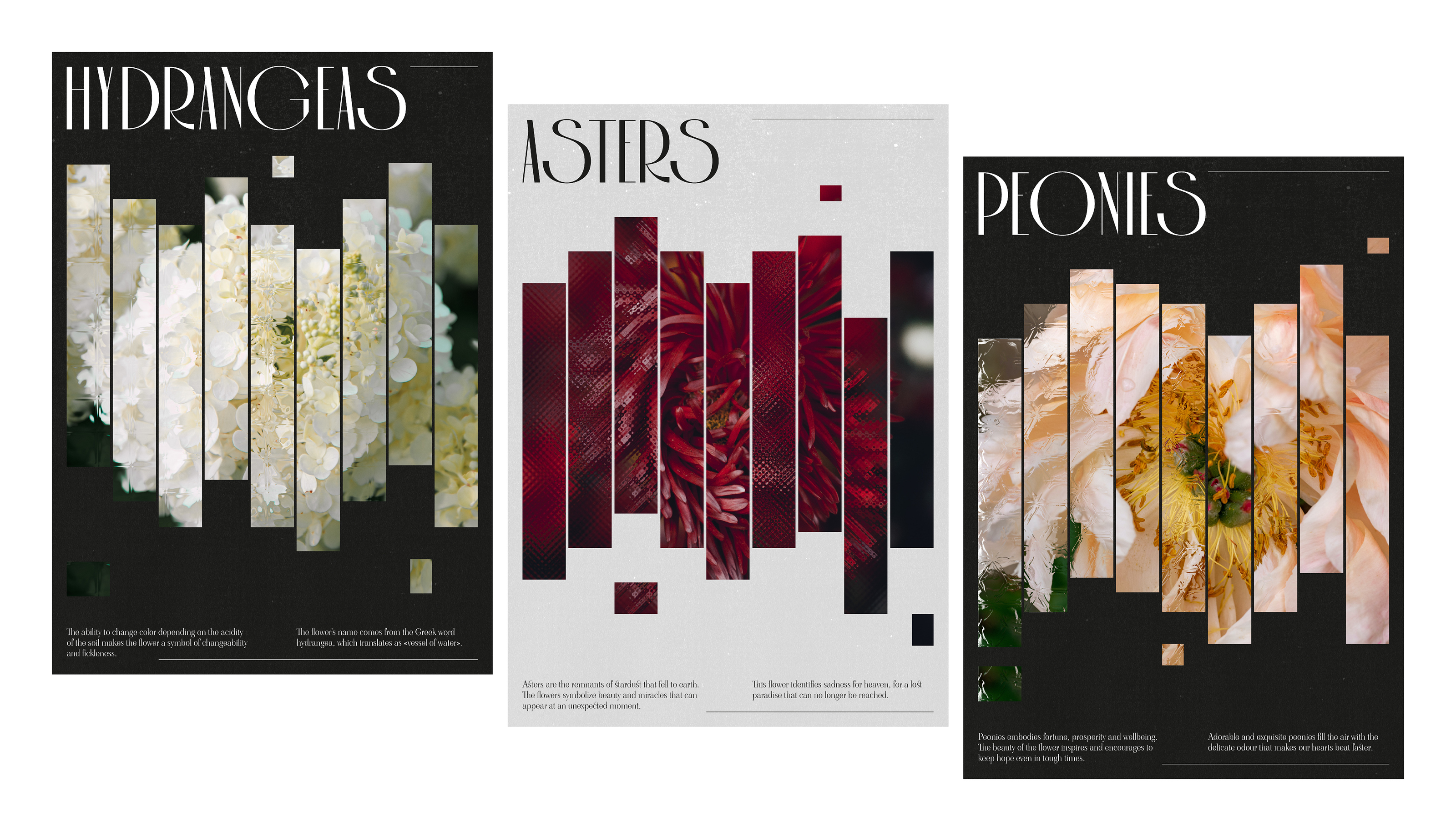 Summertime Sadness. Floral posters with glass texture. — Изображение №1 — Графика на Dprofile