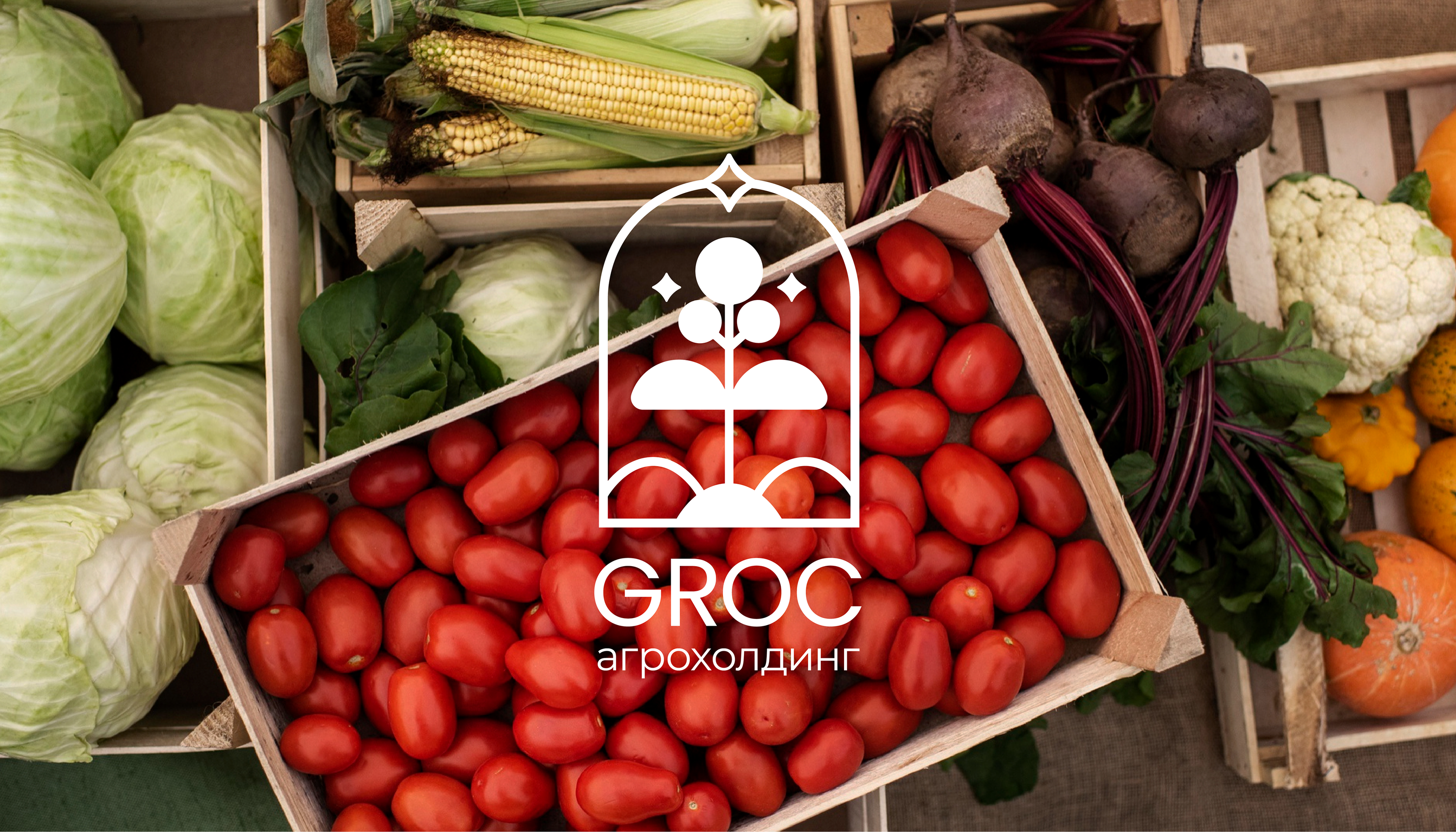 Groc — агрохолдинг — Изображение №1 — Брендинг, Графика на Dprofile