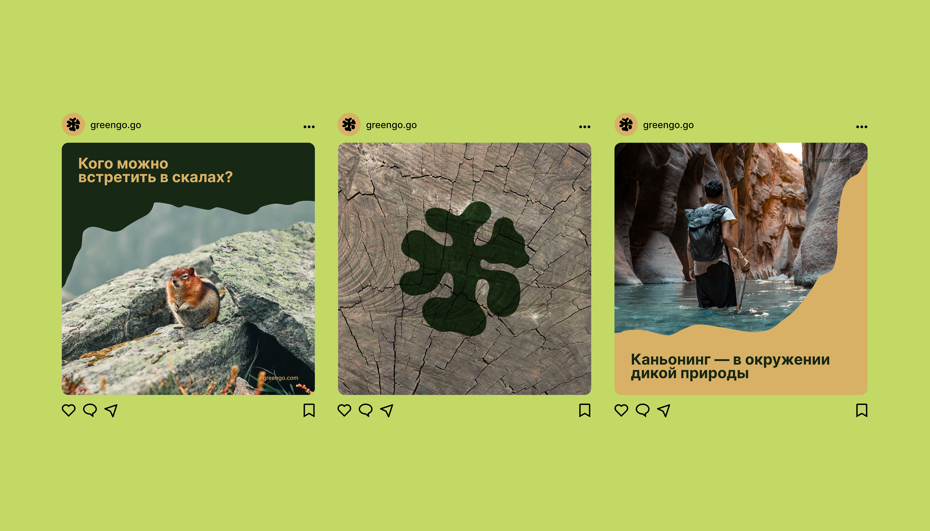 Greengo — аксессуары для туризма — Изображение №10 — Брендинг, Иллюстрация на Dprofile